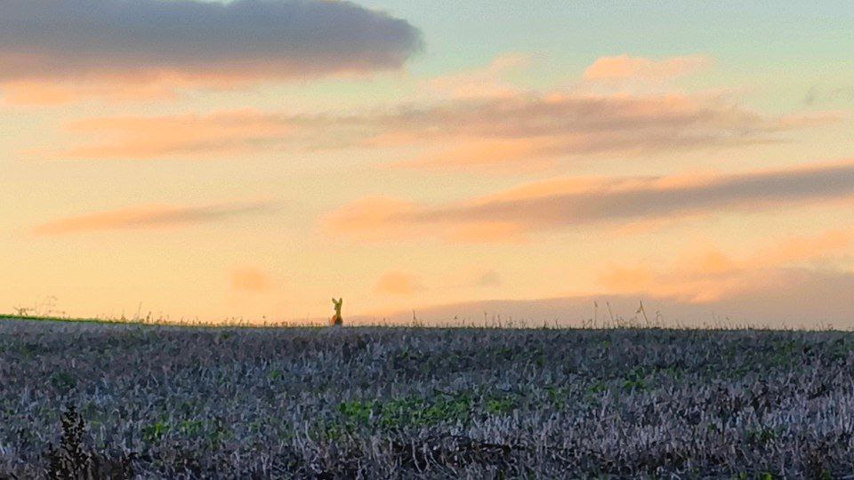 Артем Турчинік пішки мандрує Черкащиною, щоб зробити вражаючі фото природи. Дивіться світлини - фото 9