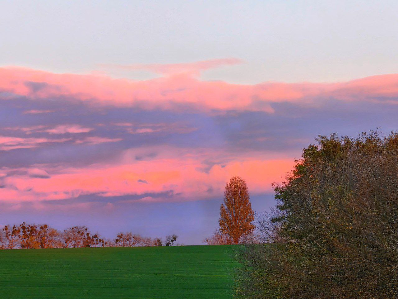 Артем Турчинік пішки мандрує Черкащиною, щоб зробити вражаючі фото природи. Дивіться світлини - фото 10
