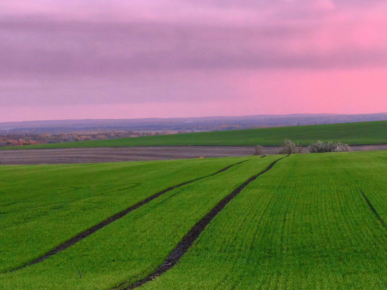 Артем Турчинік пішки мандрує Черкащиною, щоб зробити вражаючі фото природи. Дивіться світлини - фото 11