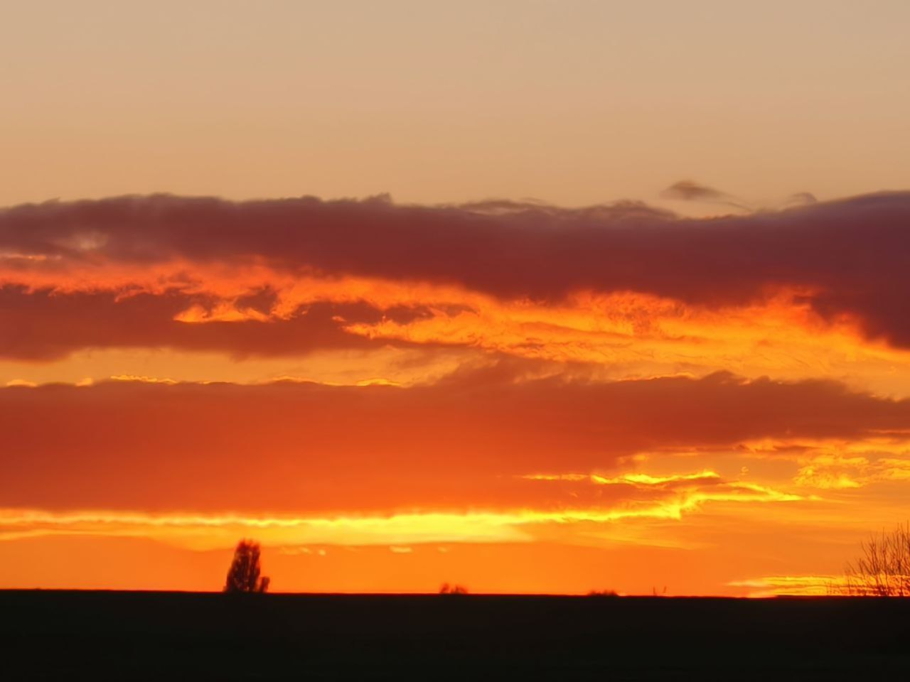 Артем Турчинік пішки мандрує Черкащиною, щоб зробити вражаючі фото природи. Дивіться світлини - фото 12