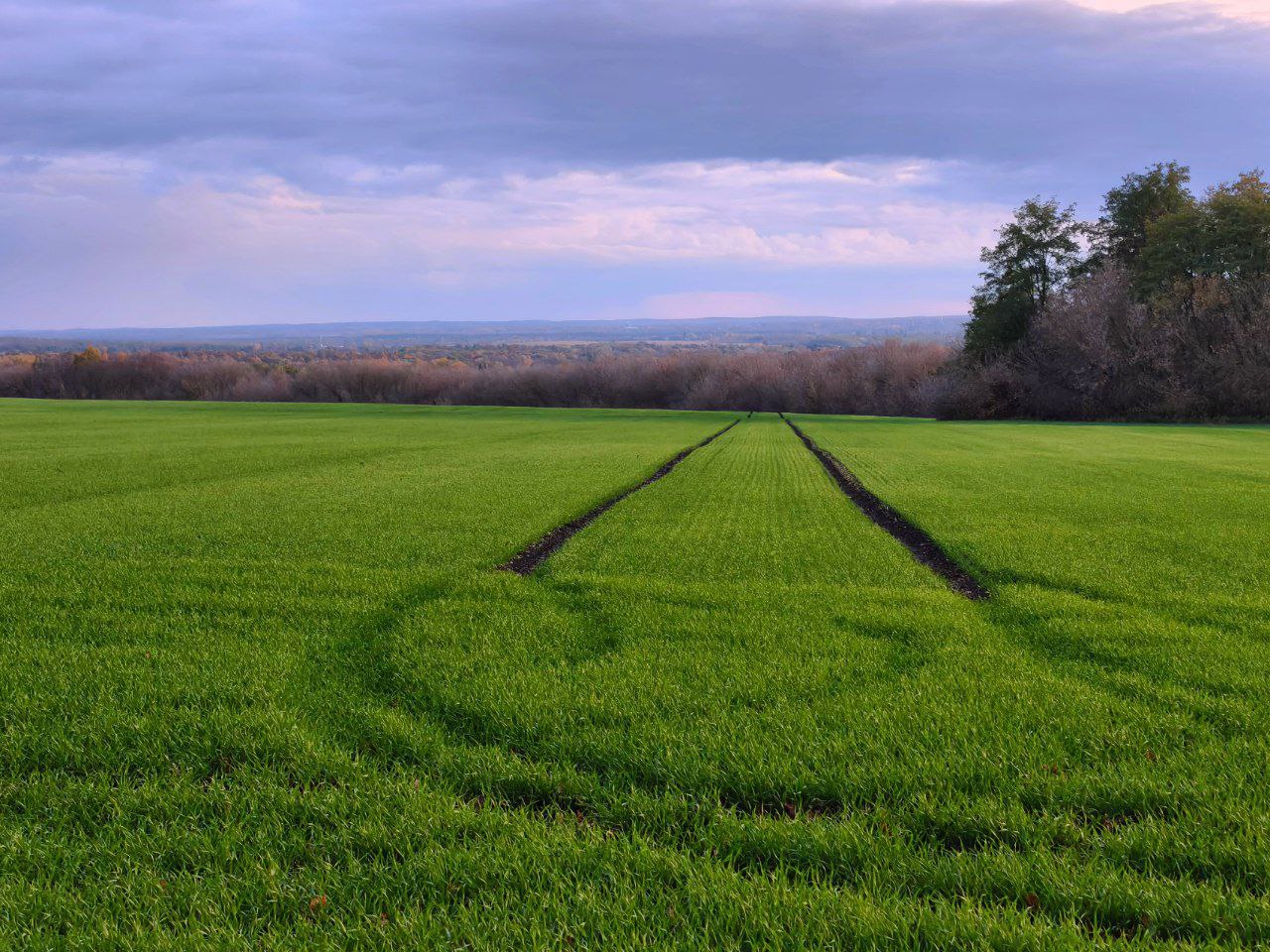 Артем Турчинік пішки мандрує Черкащиною, щоб зробити вражаючі фото природи. Дивіться світлини - фото 13