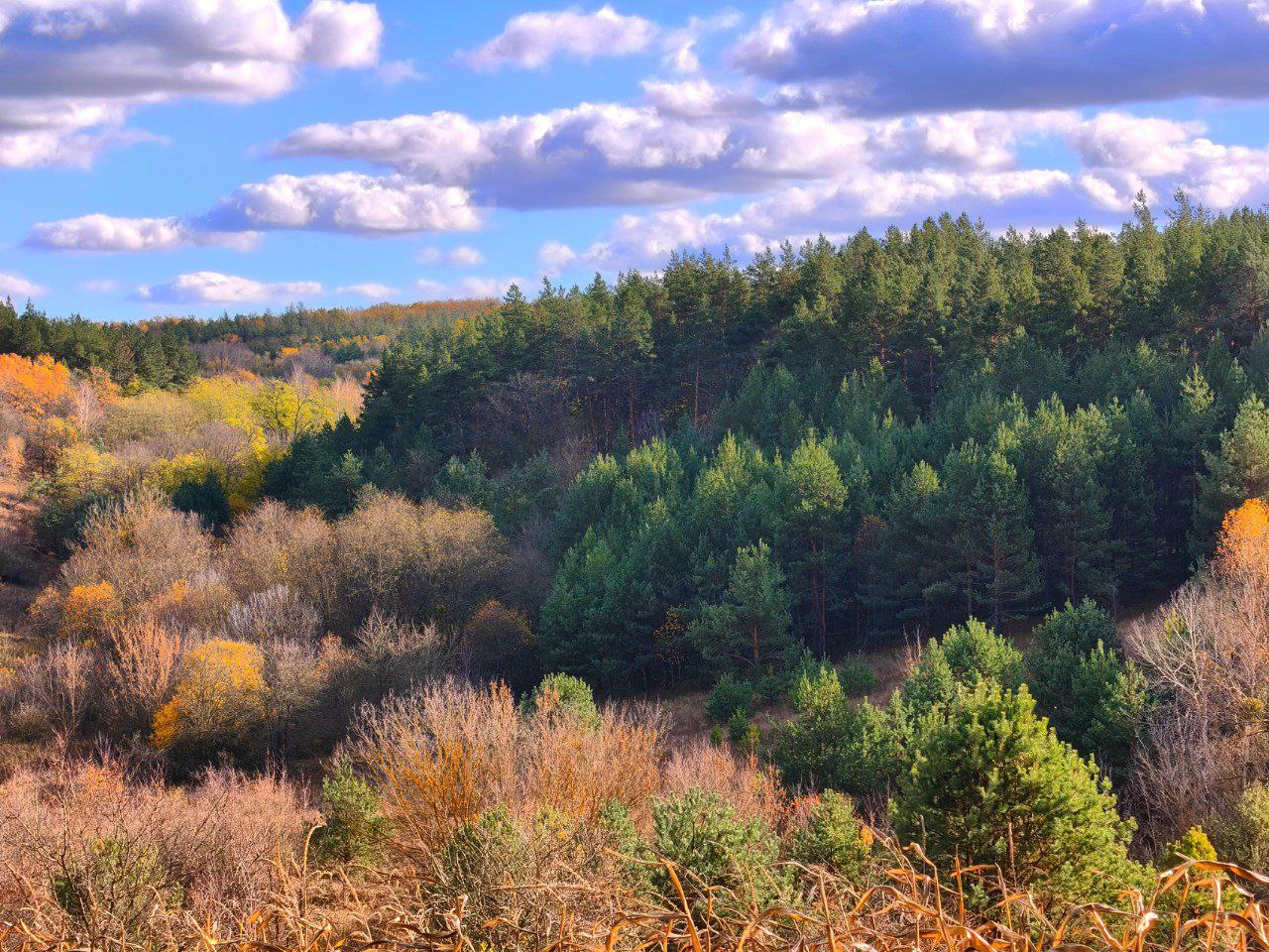 Артем Турчинік пішки мандрує Черкащиною, щоб зробити вражаючі фото природи. Дивіться світлини - фото 20