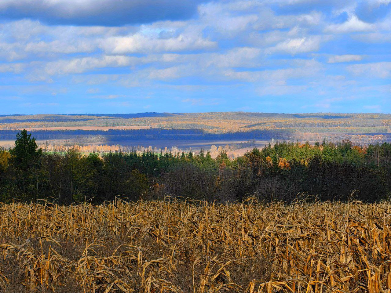 Артем Турчинік пішки мандрує Черкащиною, щоб зробити вражаючі фото природи. Дивіться світлини - фото 21
