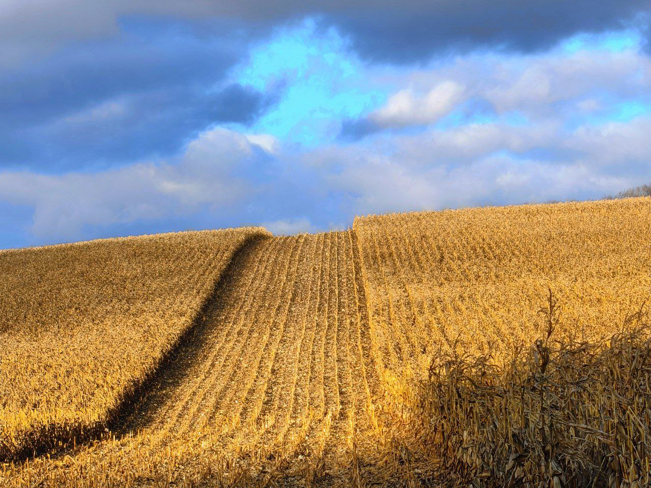 Артем Турчинік пішки мандрує Черкащиною, щоб зробити вражаючі фото природи. Дивіться світлини - фото 22