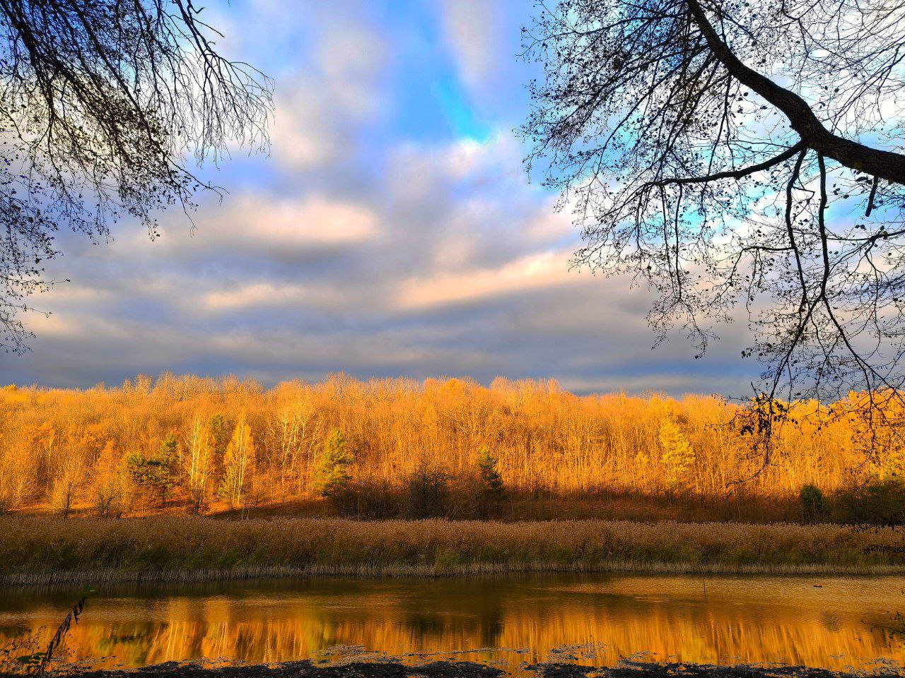 Артем Турчинік пішки мандрує Черкащиною, щоб зробити вражаючі фото природи. Дивіться світлини - фото 23