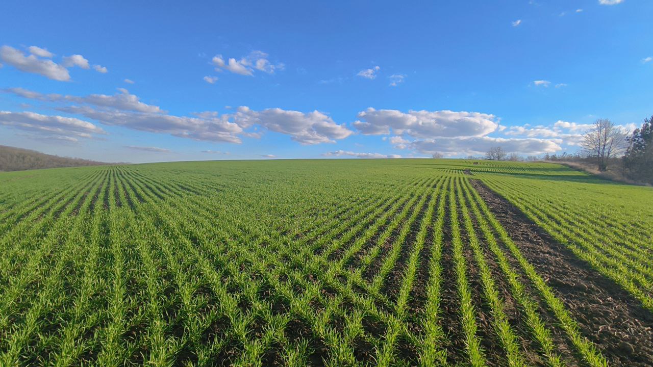 Артем Турчинік пішки мандрує Черкащиною, щоб зробити вражаючі фото природи. Дивіться світлини - фото 26