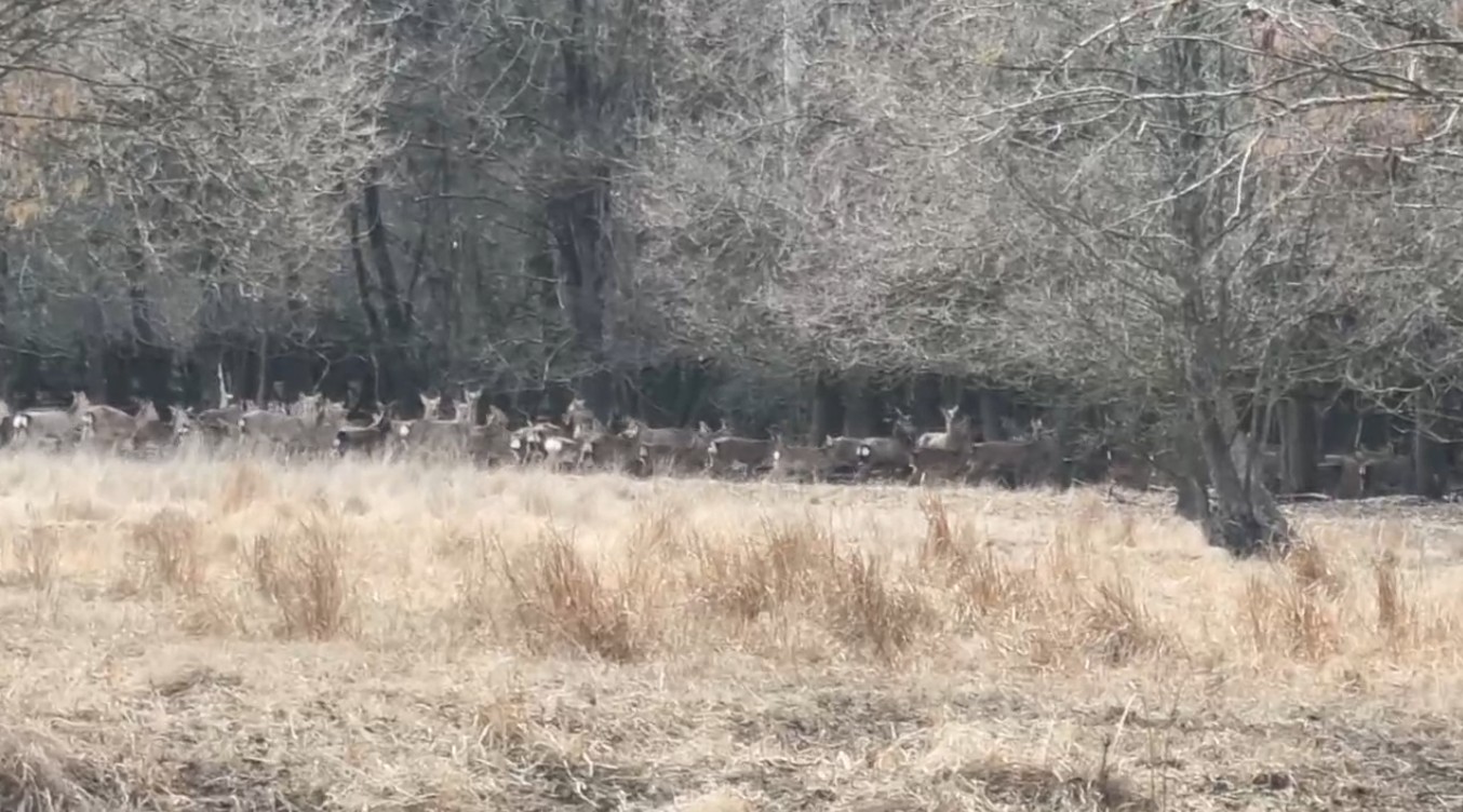 Артем Турчинік пішки мандрує Черкащиною, щоб зробити вражаючі фото природи. Дивіться світлини - фото 32