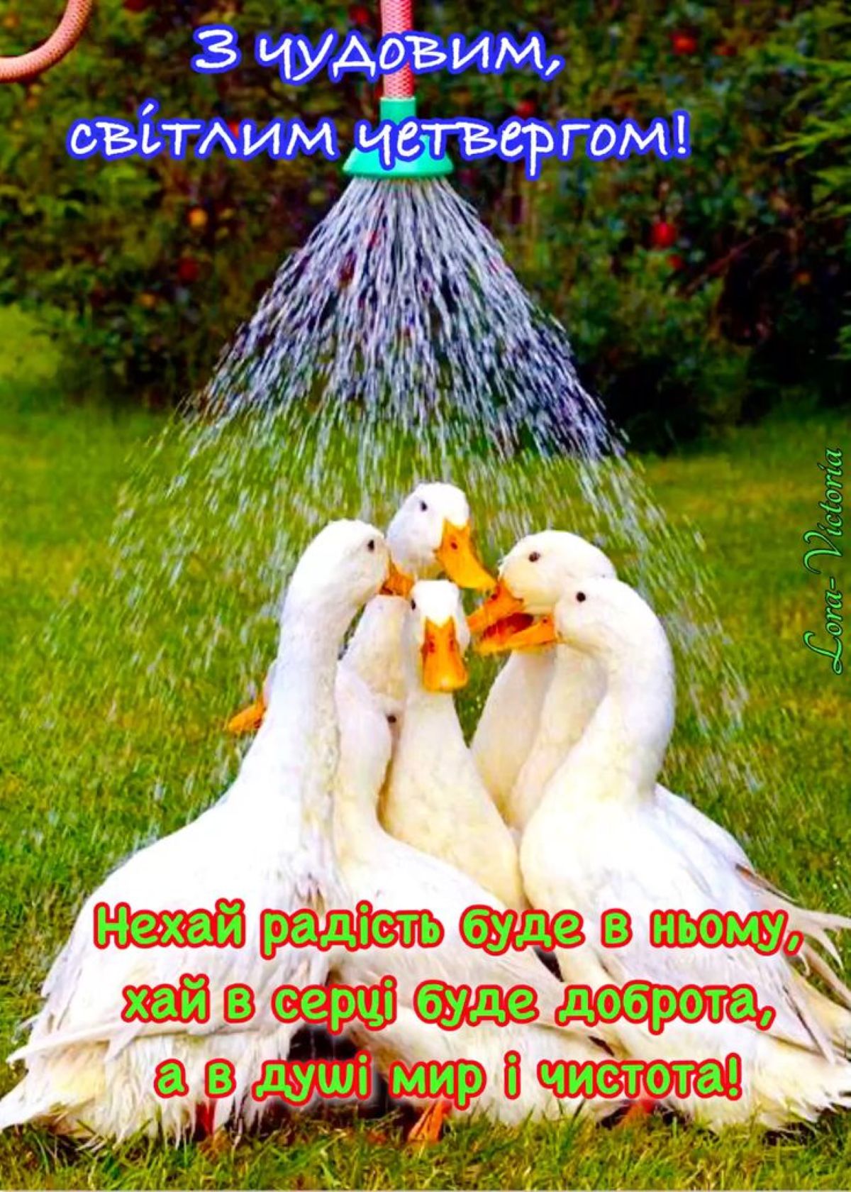 Чистий четвер 2026: дата, заборони та головні традиції - фото 15