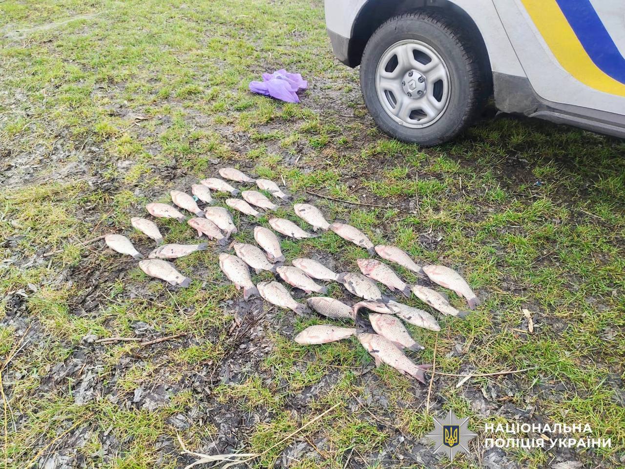 На Київщині виявили двох браконьєрів