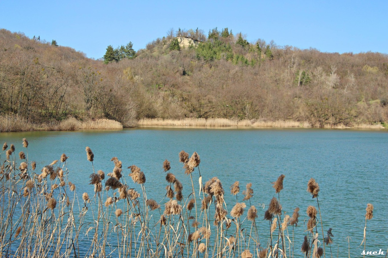 Блакитне озеро, покинуті будинки і квіти – весна в селі Бучак Черкаської області. Фото