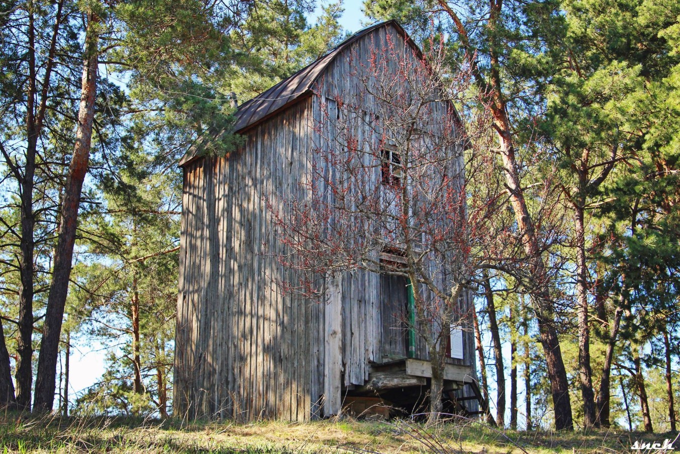 Блакитне озеро, покинуті будинки і квіти – весна в селі Бучак Черкаської області. Фото - фото 9