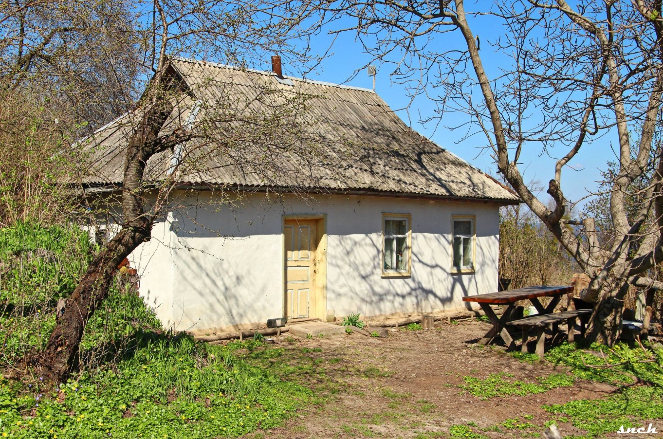 Блакитне озеро, покинуті будинки і квіти – весна в селі Бучак Черкаської області. Фото - фото 4