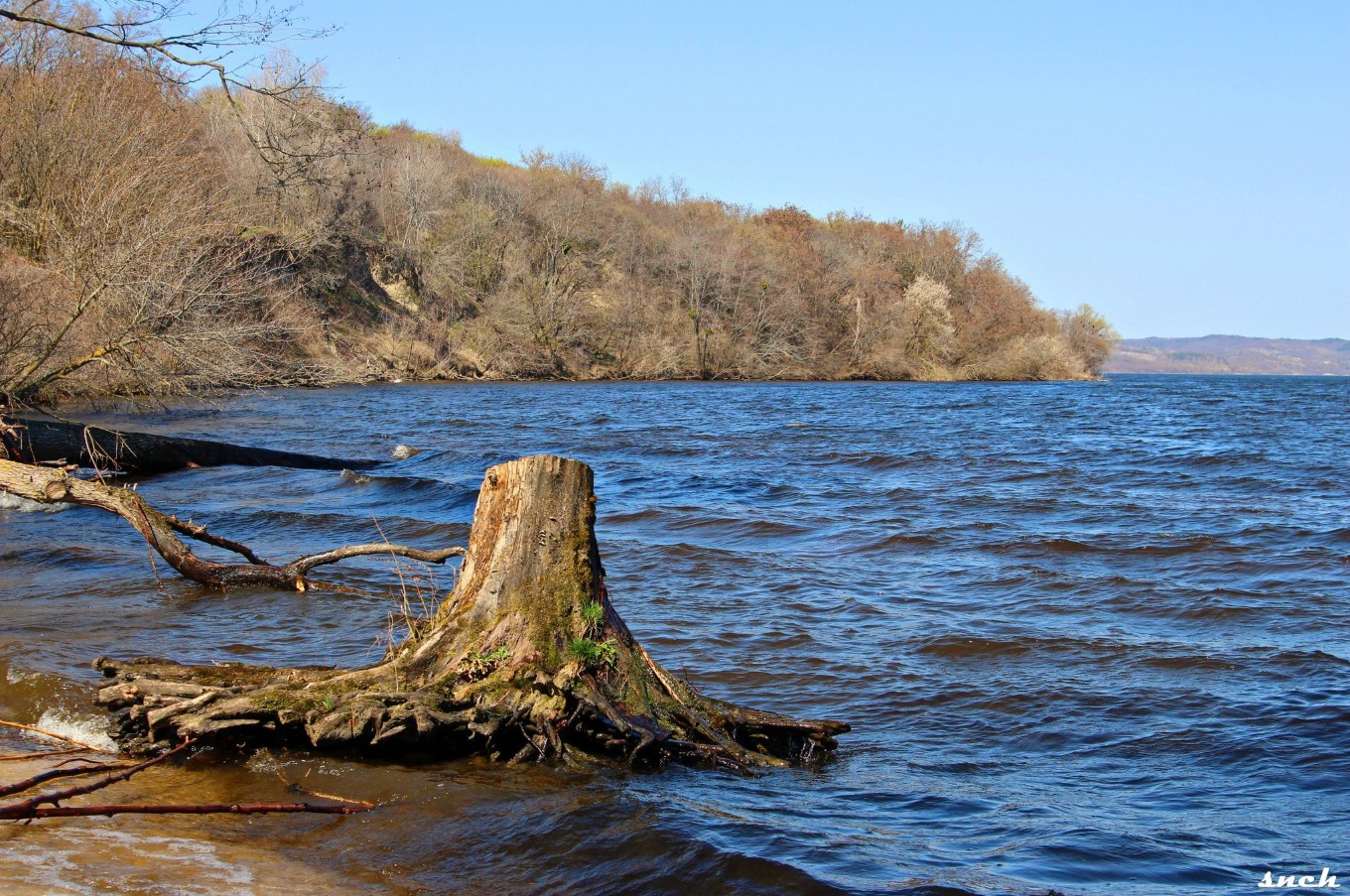 Блакитне озеро, покинуті будинки і квіти – весна в селі Бучак Черкаської області. Фото - фото 6