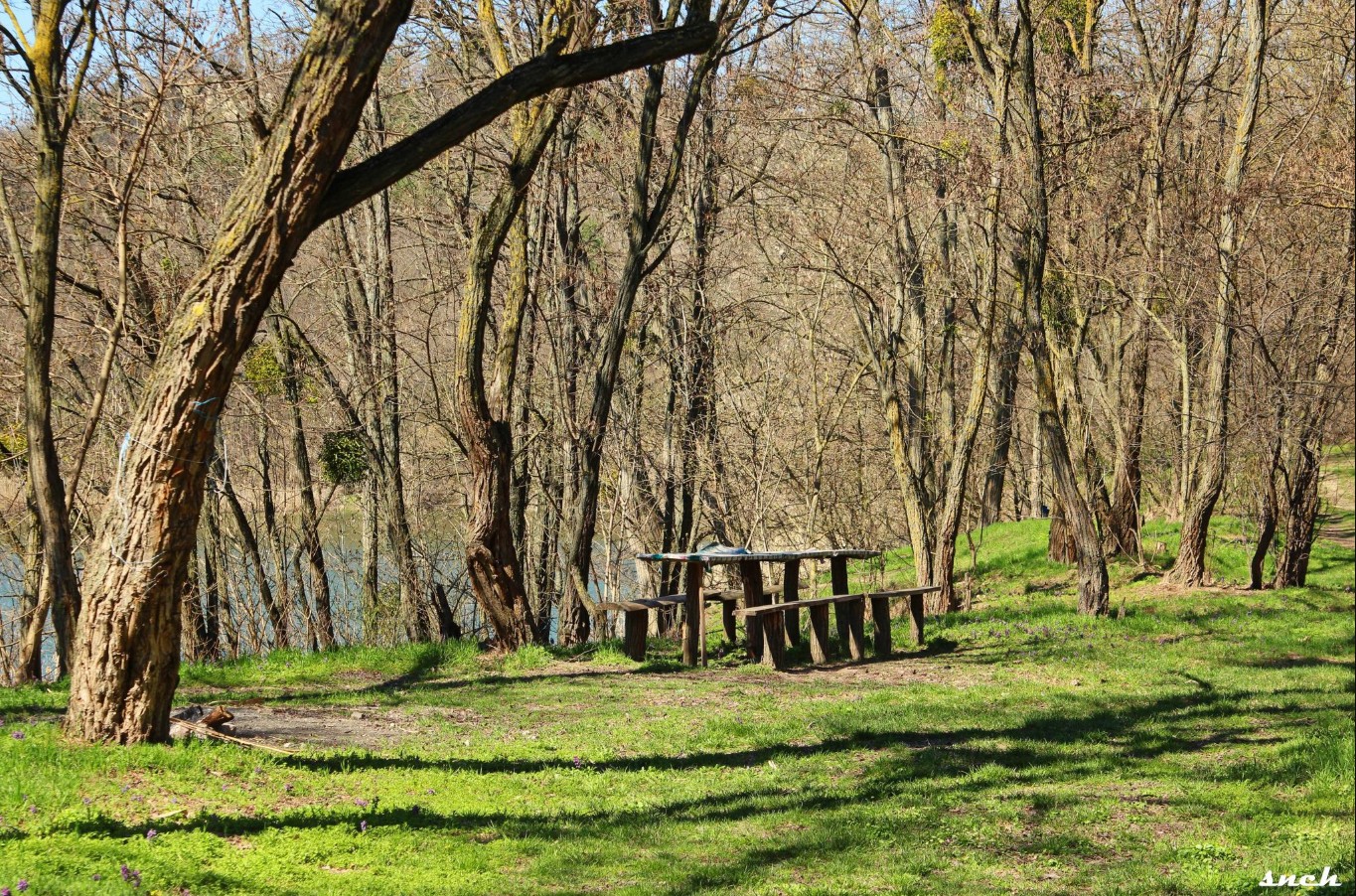 Блакитне озеро, покинуті будинки і квіти – весна в селі Бучак Черкаської області. Фото - фото 14