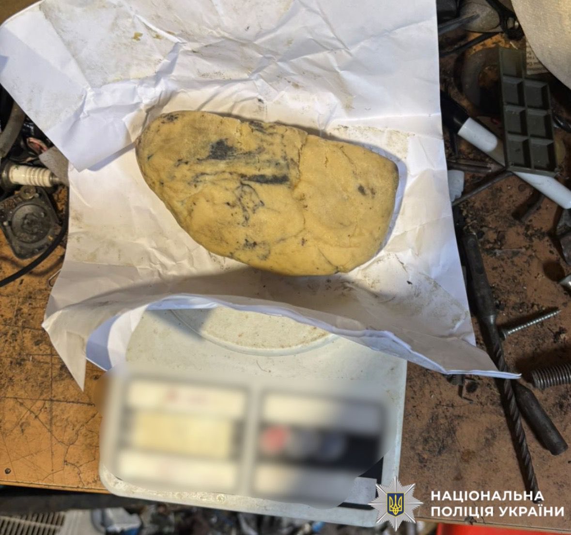 Зберігав у будинку пластид та набої : поліцейські Київщини повідомили про підозру зловмиснику - фото 2