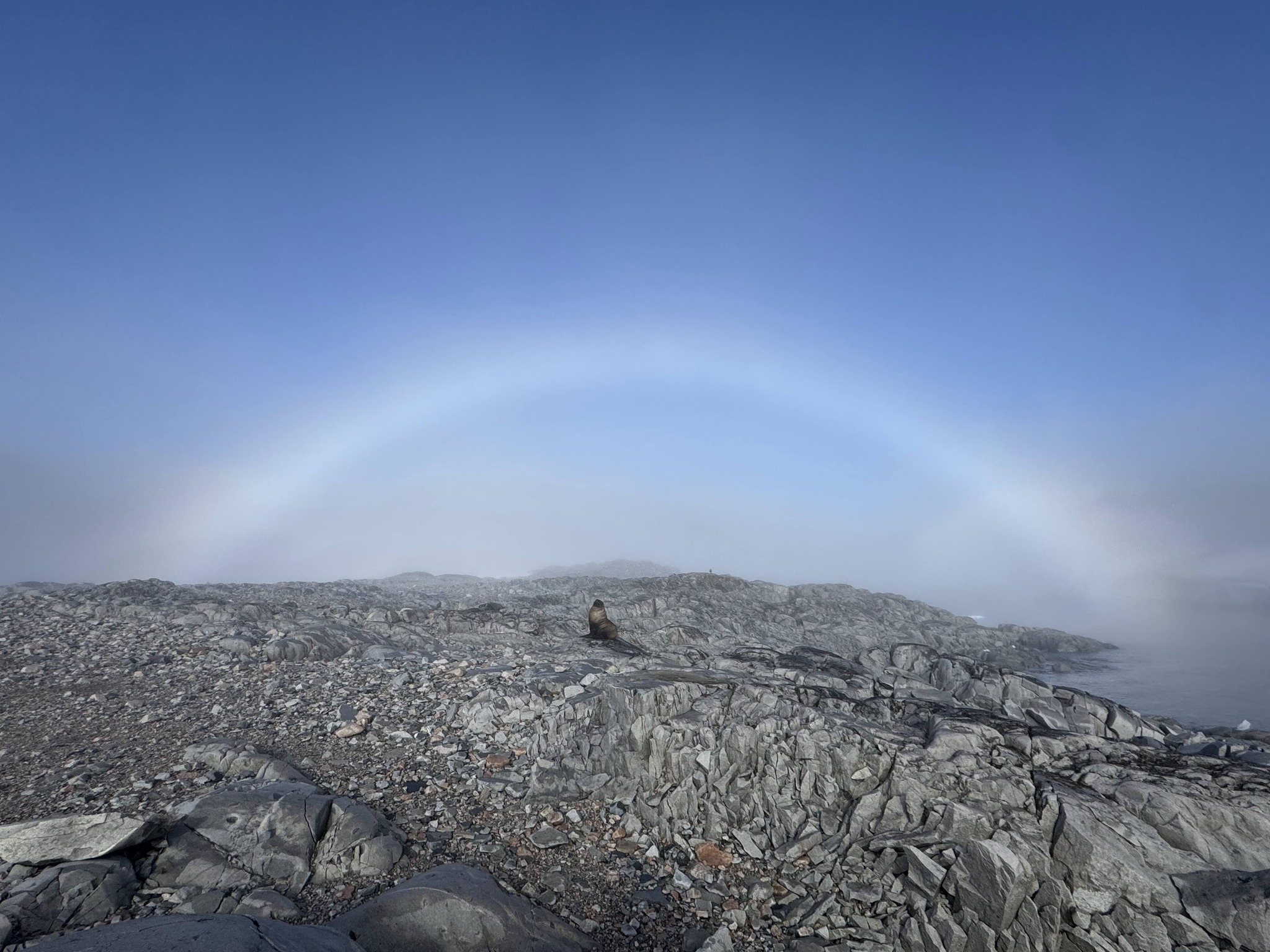 Київська біологиня зафіксувала білу веселку в Антарктиці - фото 2