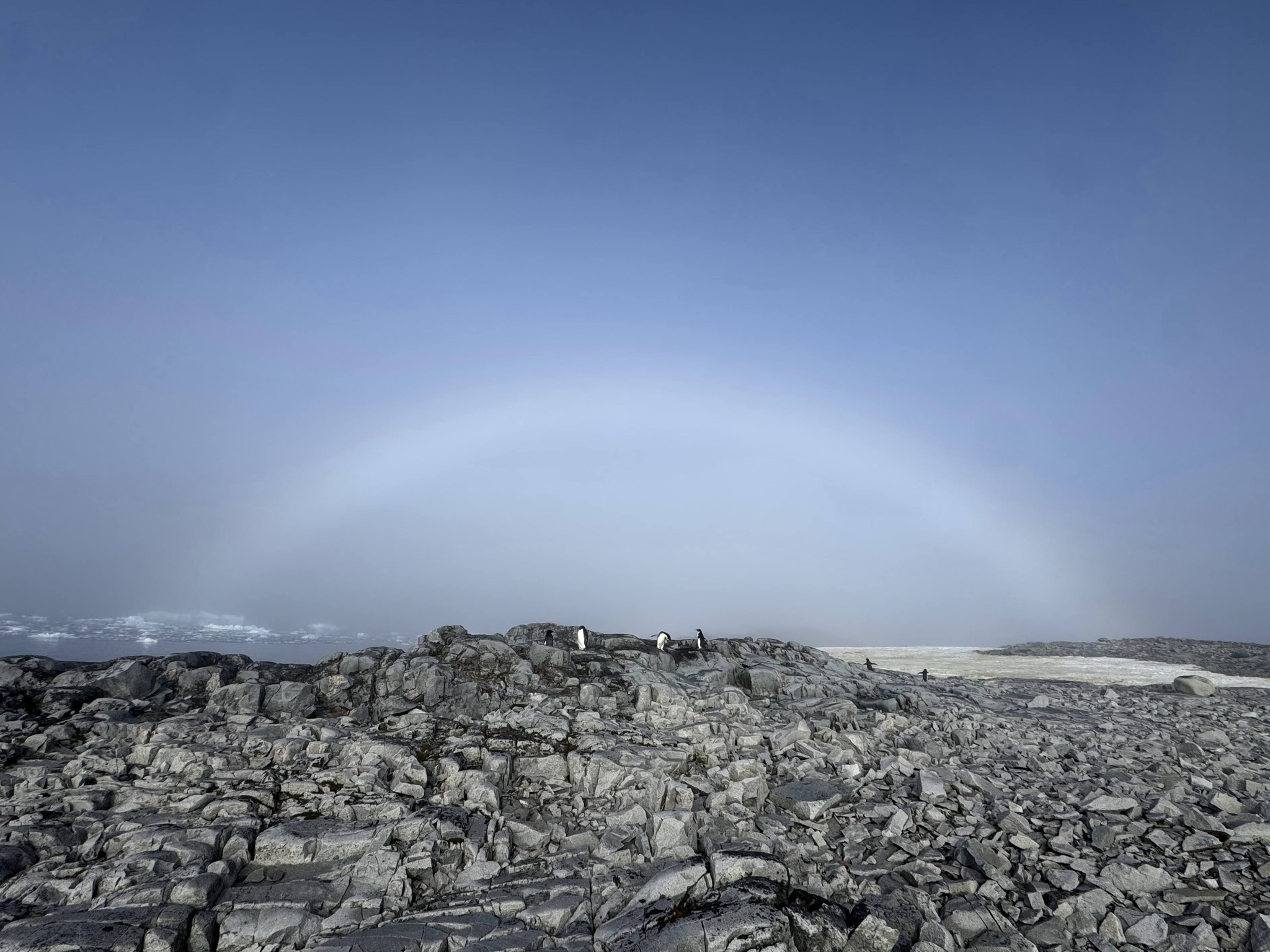 Київська біологиня зафіксувала білу веселку в Антарктиці