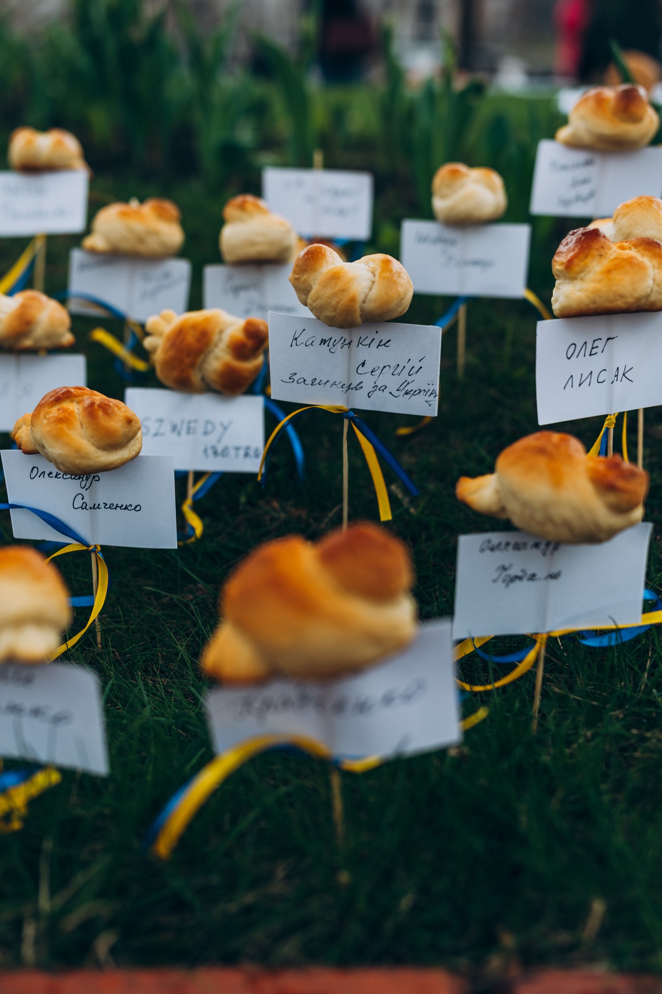 У Софії Київській зустріли яскравий Великдень-2026: фото - фото 15