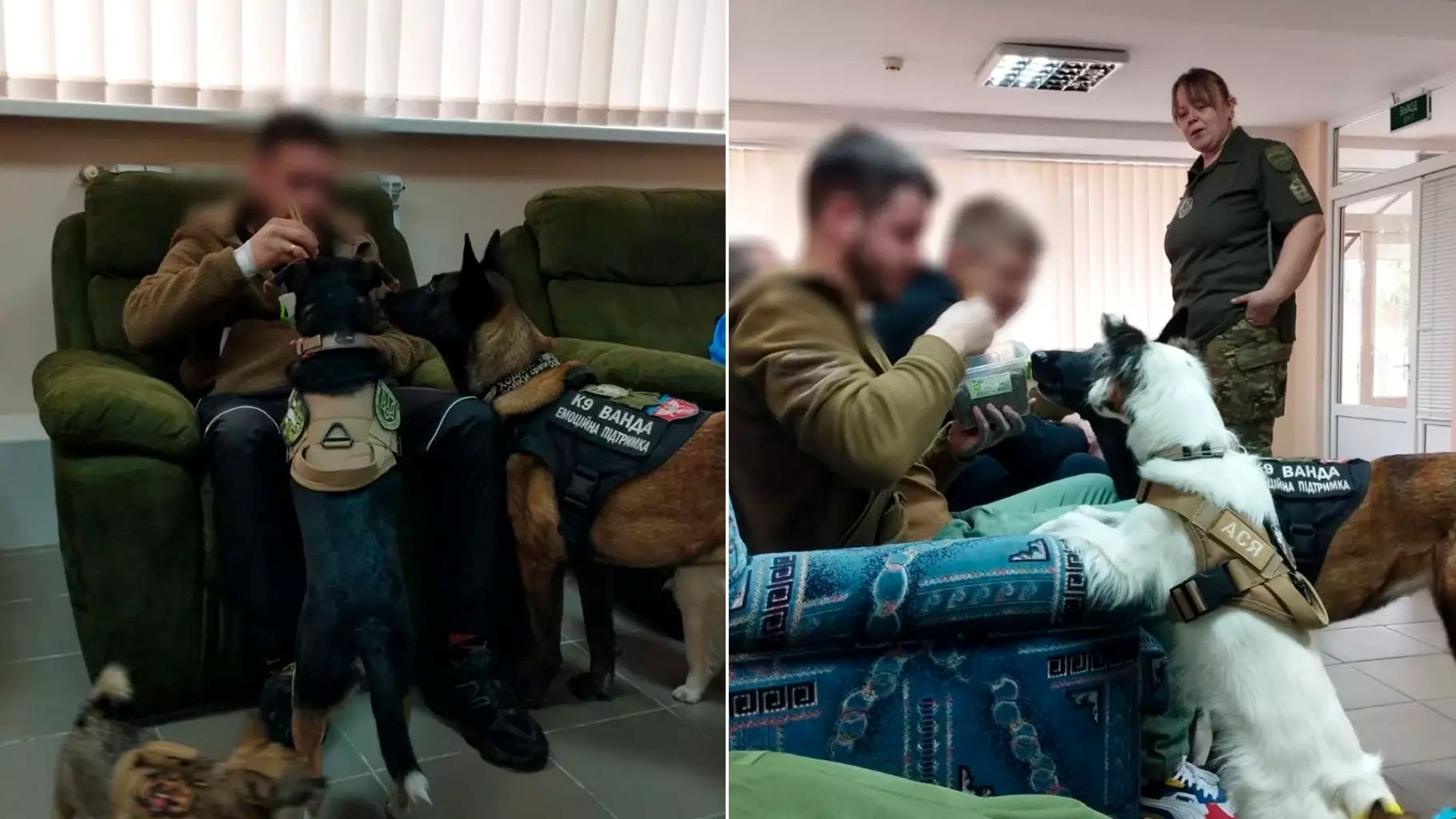 На Київщині кінологи МВС допомагають ветеранам відновлюватися за допомогою собак - фото 4