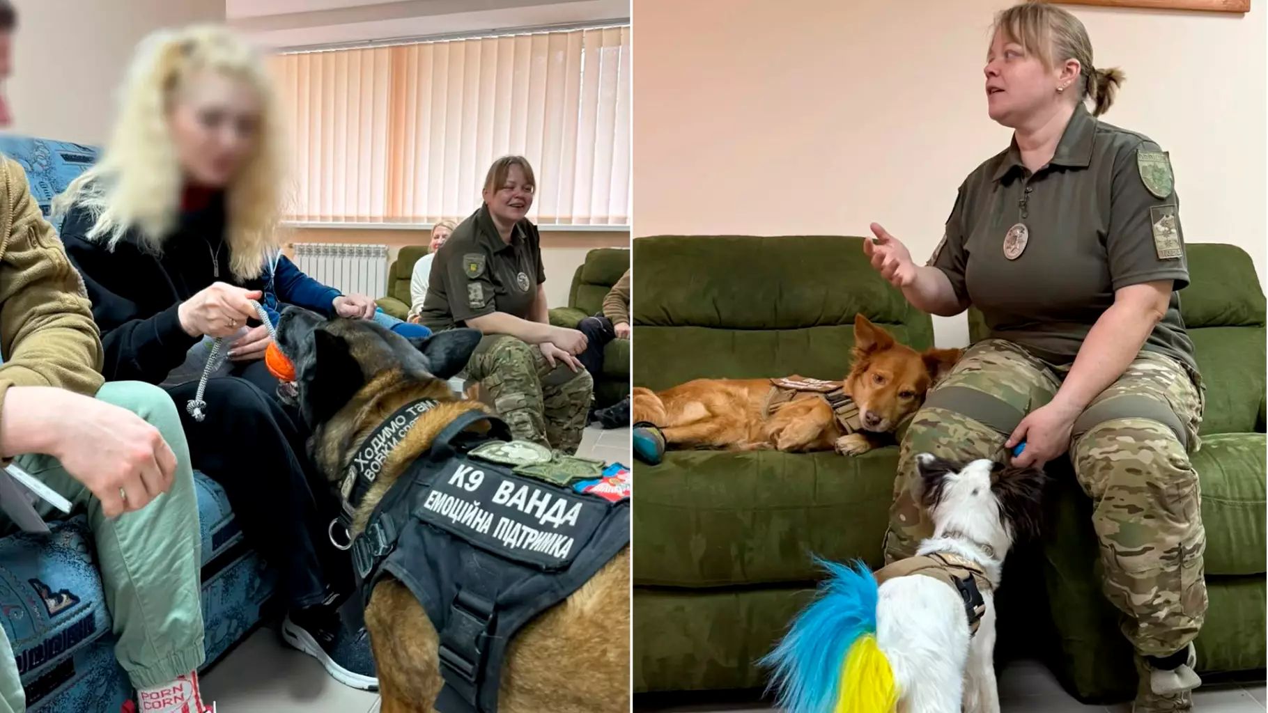 На Київщині кінологи МВС допомагають ветеранам відновлюватися за допомогою собак