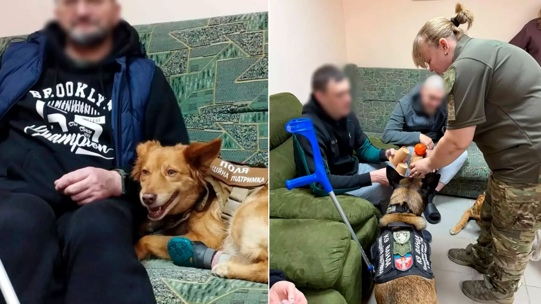 На Київщині кінологи МВС допомагають ветеранам відновлюватися за допомогою собак - фото 3