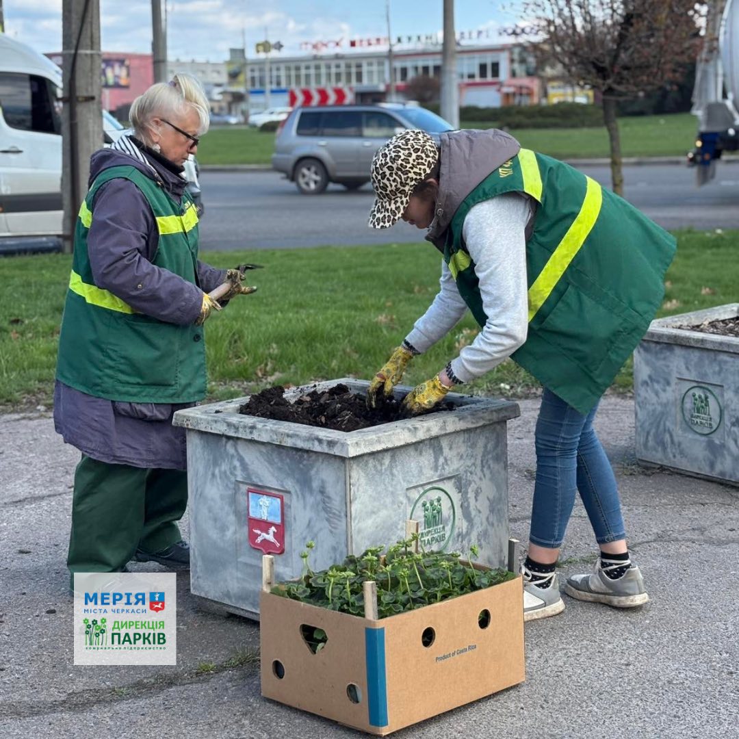 Квітникарі висадили пеларгонію у парках Черкас - фото 2