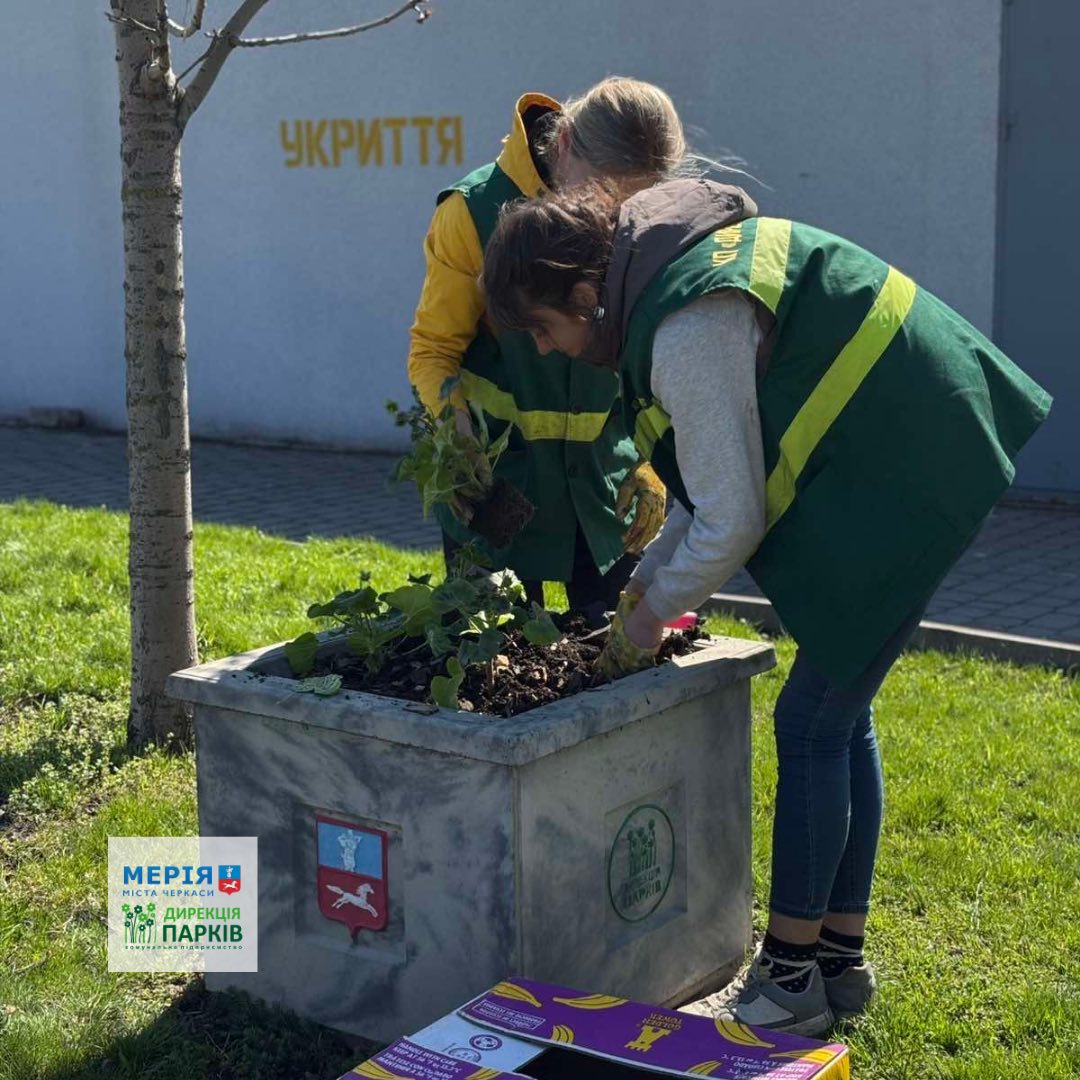 Квітникарі висадили пеларгонію у парках Черкас - фото 3