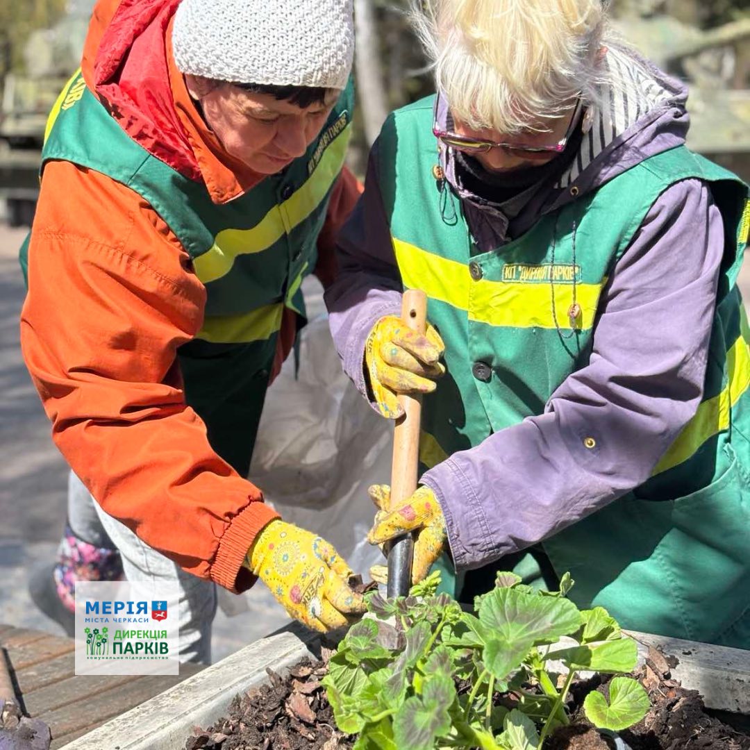 Квітникарі висадили пеларгонію у парках Черкас - фото 5