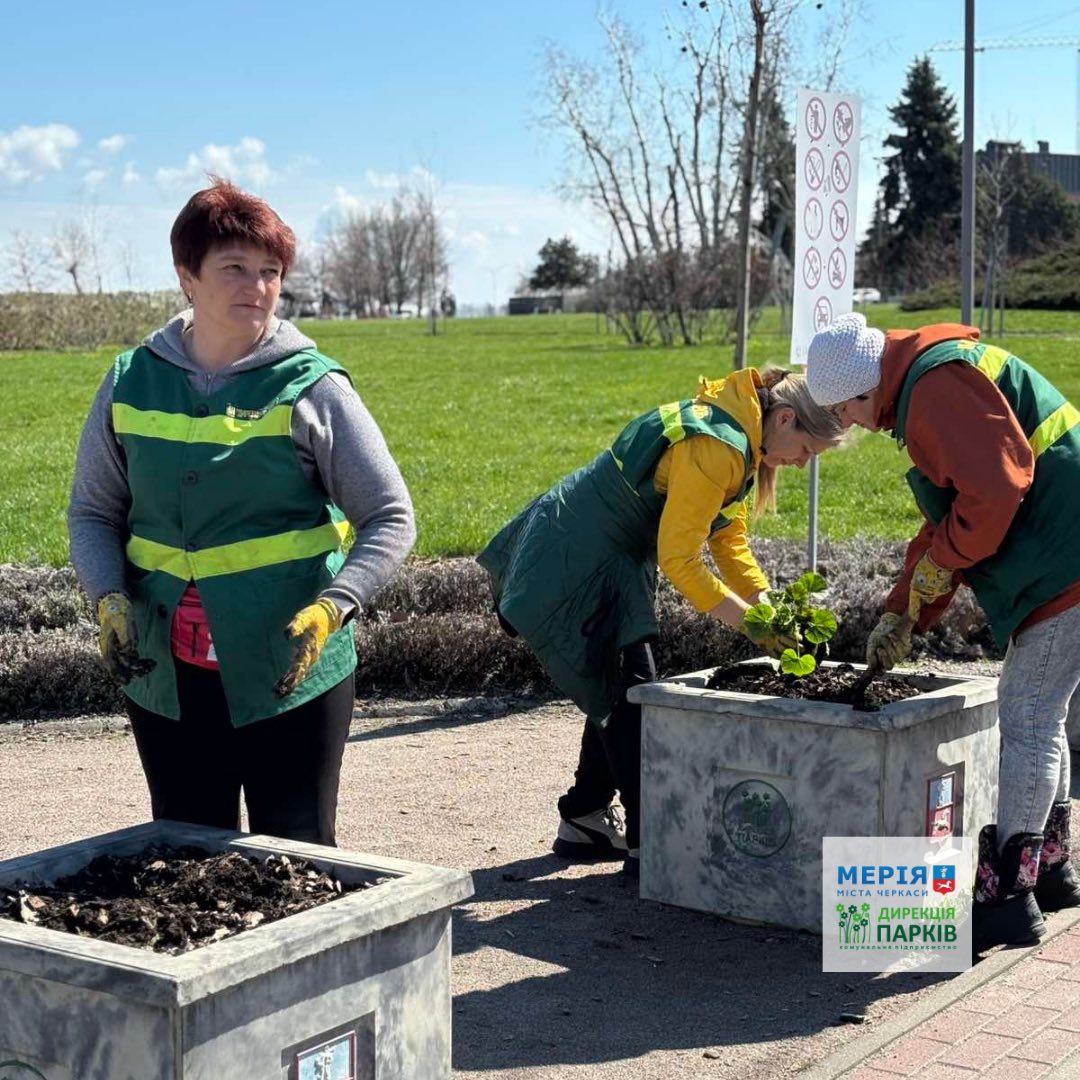 Квітникарі висадили пеларгонію у парках Черкас - фото 6