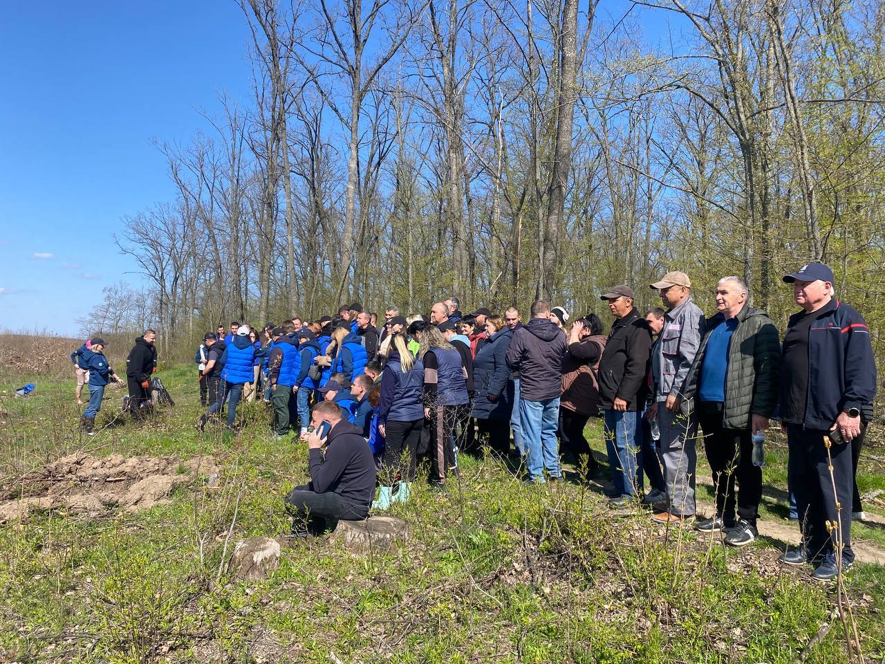На Звенигородщині посадили 7700 саджанців дуба - фото 3