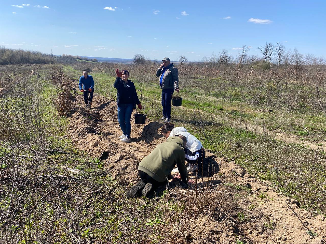 На Звенигородщині посадили 7700 саджанців дуба - фото 4