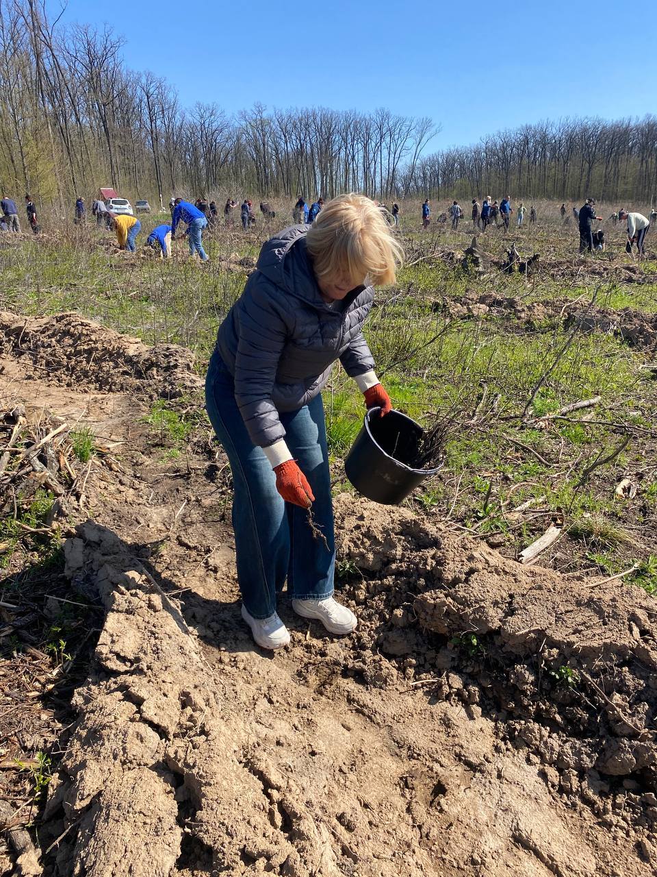 На Звенигородщині посадили 7700 саджанців дуба - фото 5
