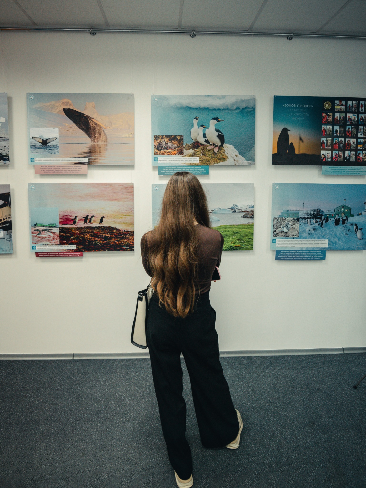 У Києві відкрили антарктичну виставку - фото 5