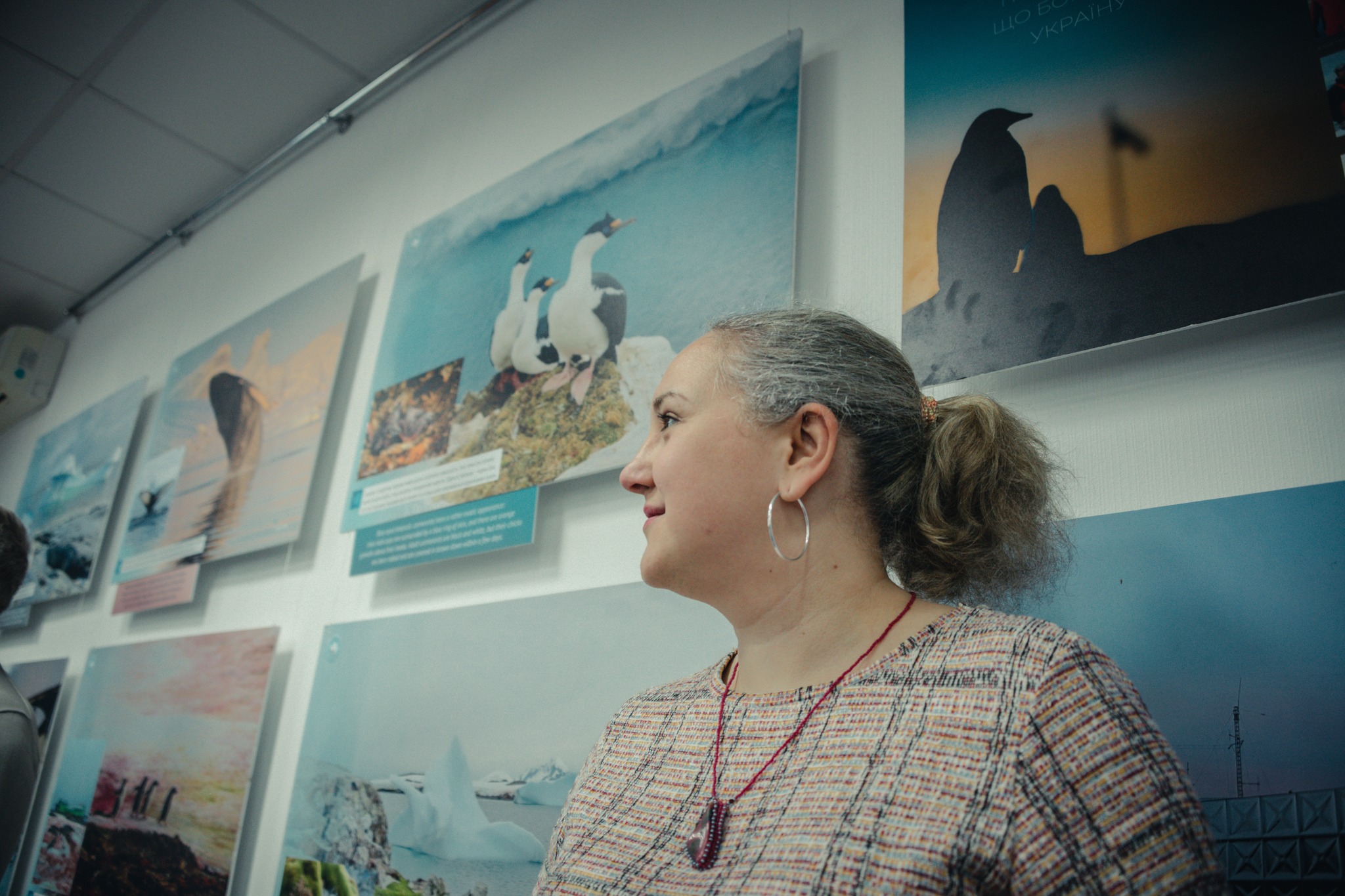 У Києві відкрили антарктичну виставку - фото 3