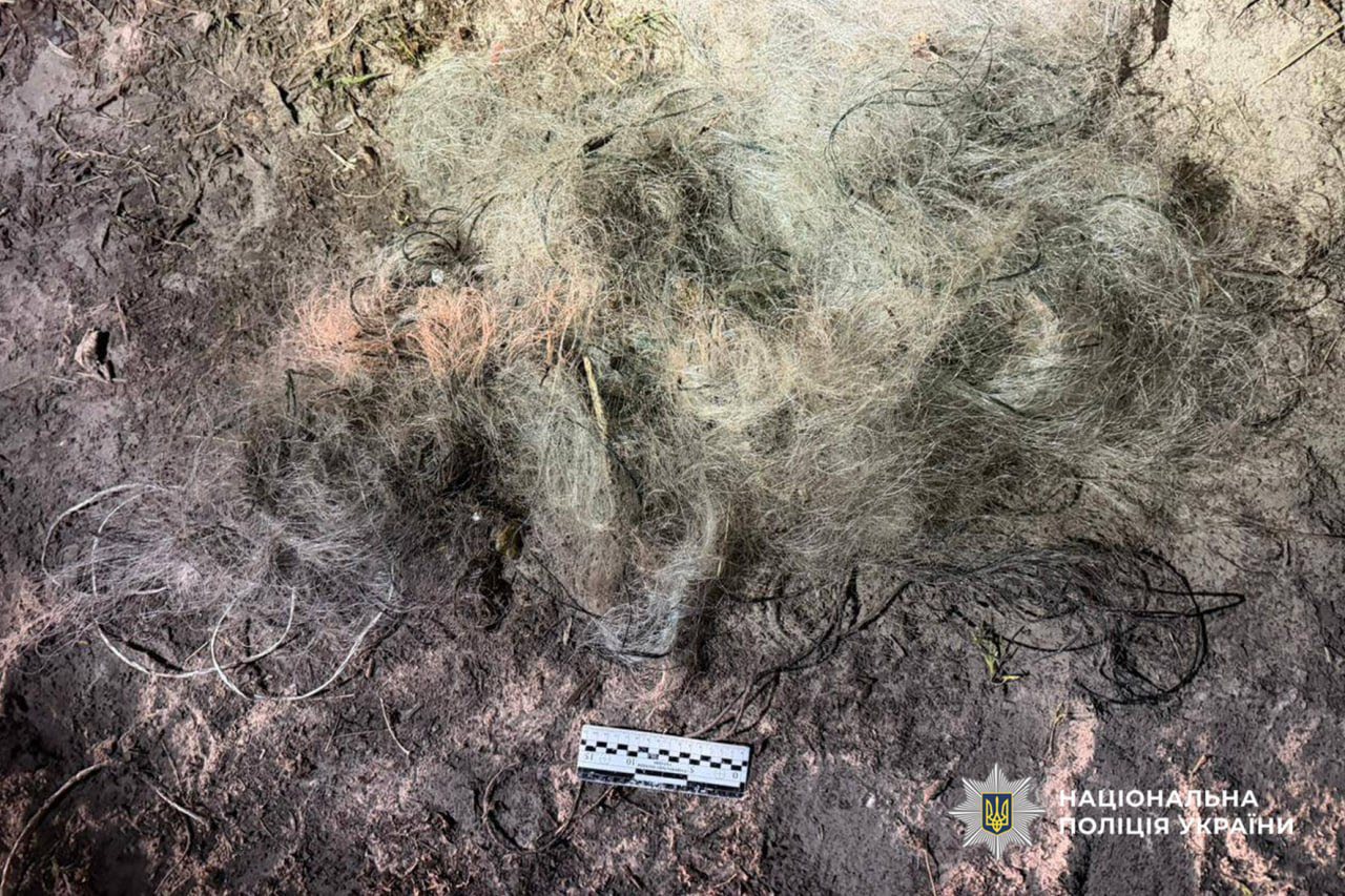 Житель Черкащини ловив сітками рибу у комендантську годину - фото 2