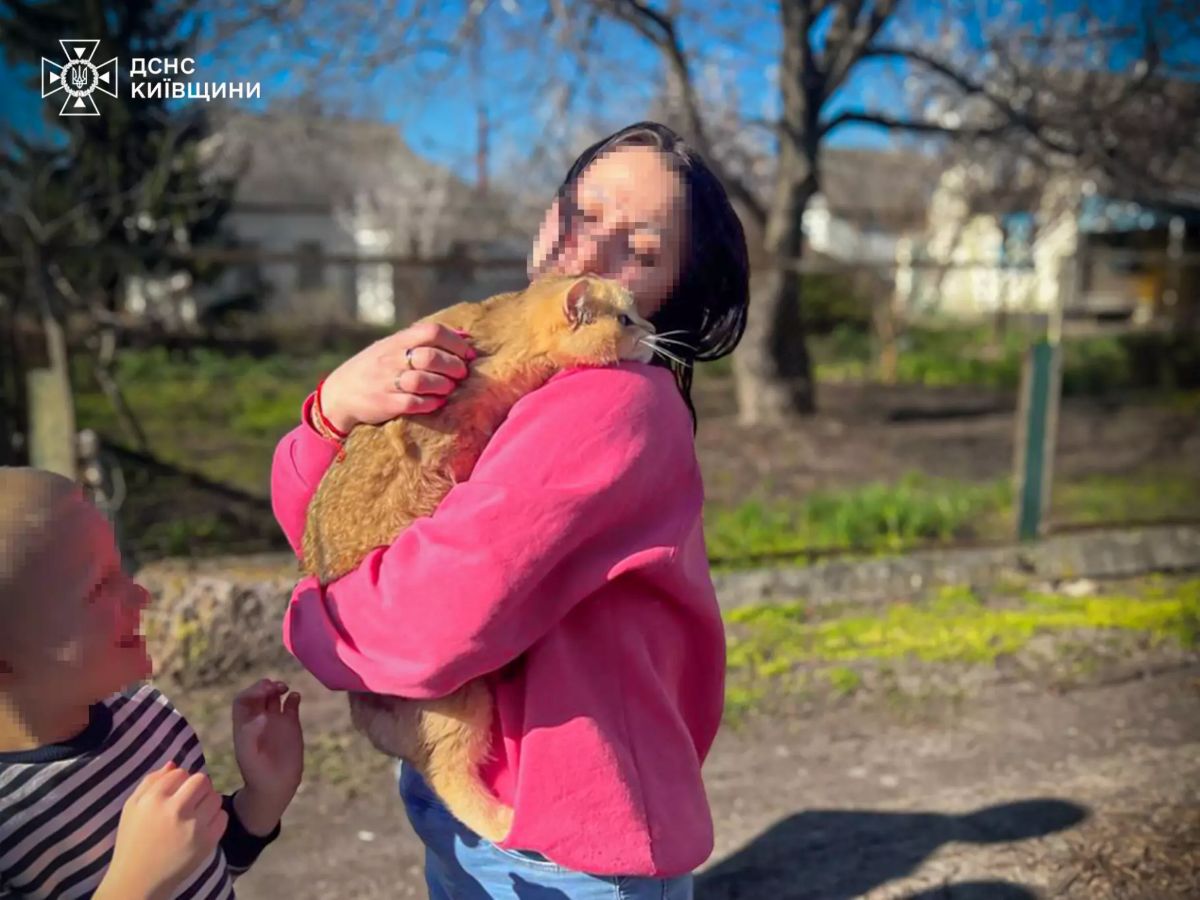 На Київщині рятувальники зняли кота з 6-метрового дерева - фото 3