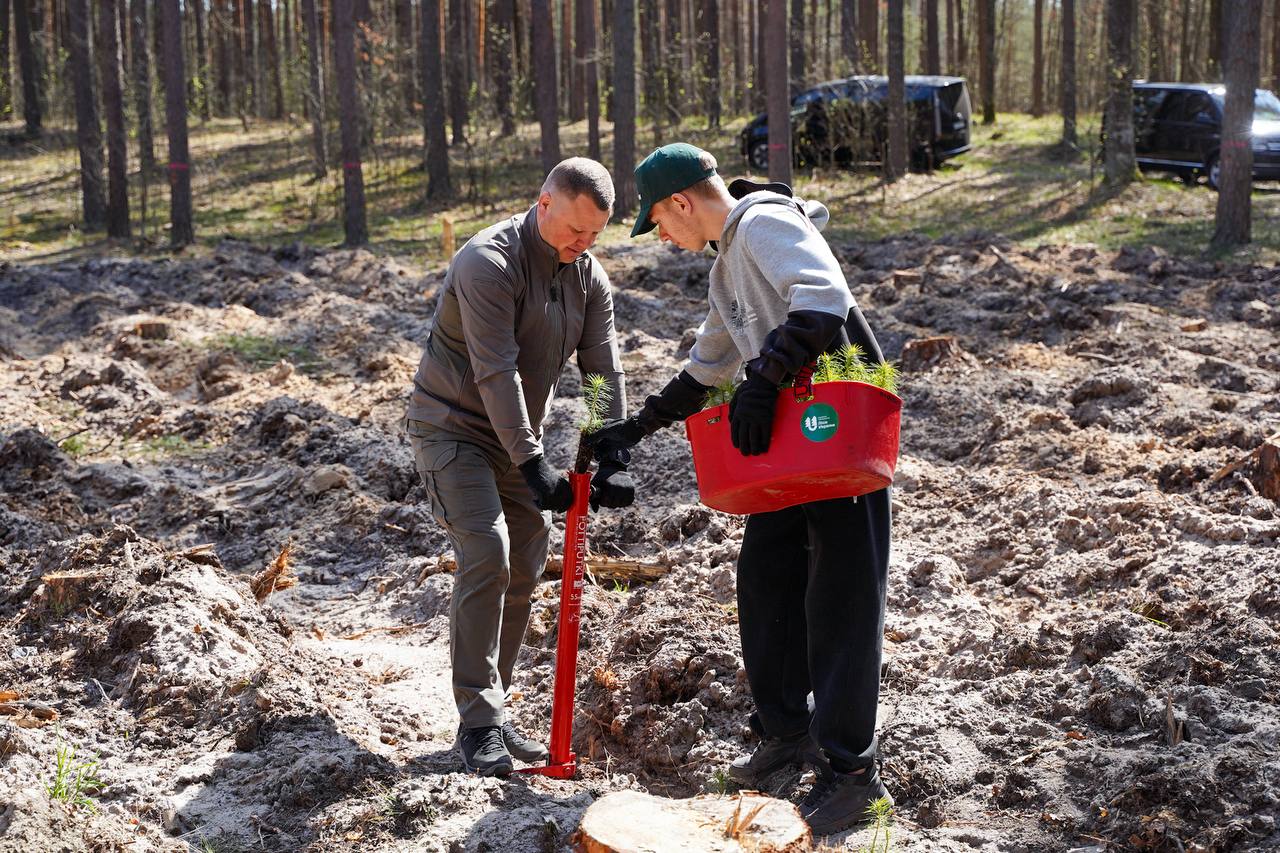 У Бородянці відновлюють ліс, який постраждав під час війни - фото 2