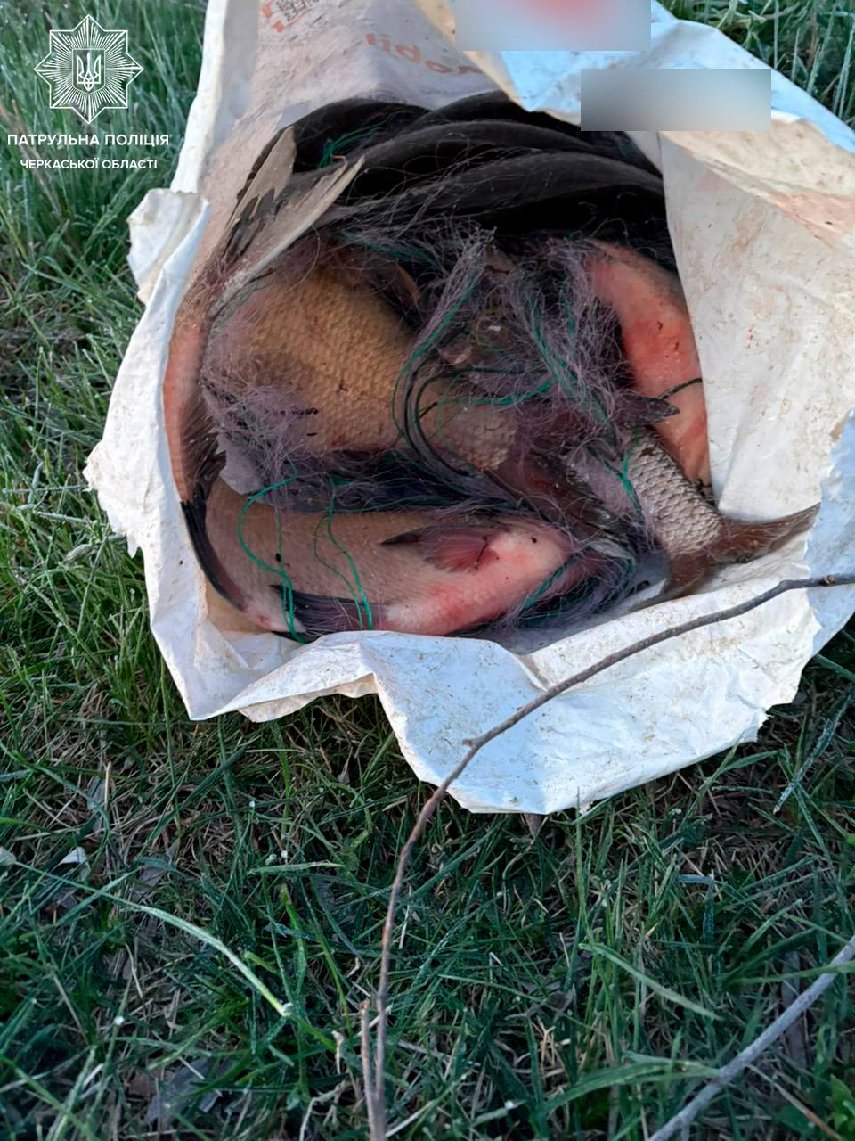 Патрульні виявили браконьєрів, які ловили рибу у Черкаській області - фото 3