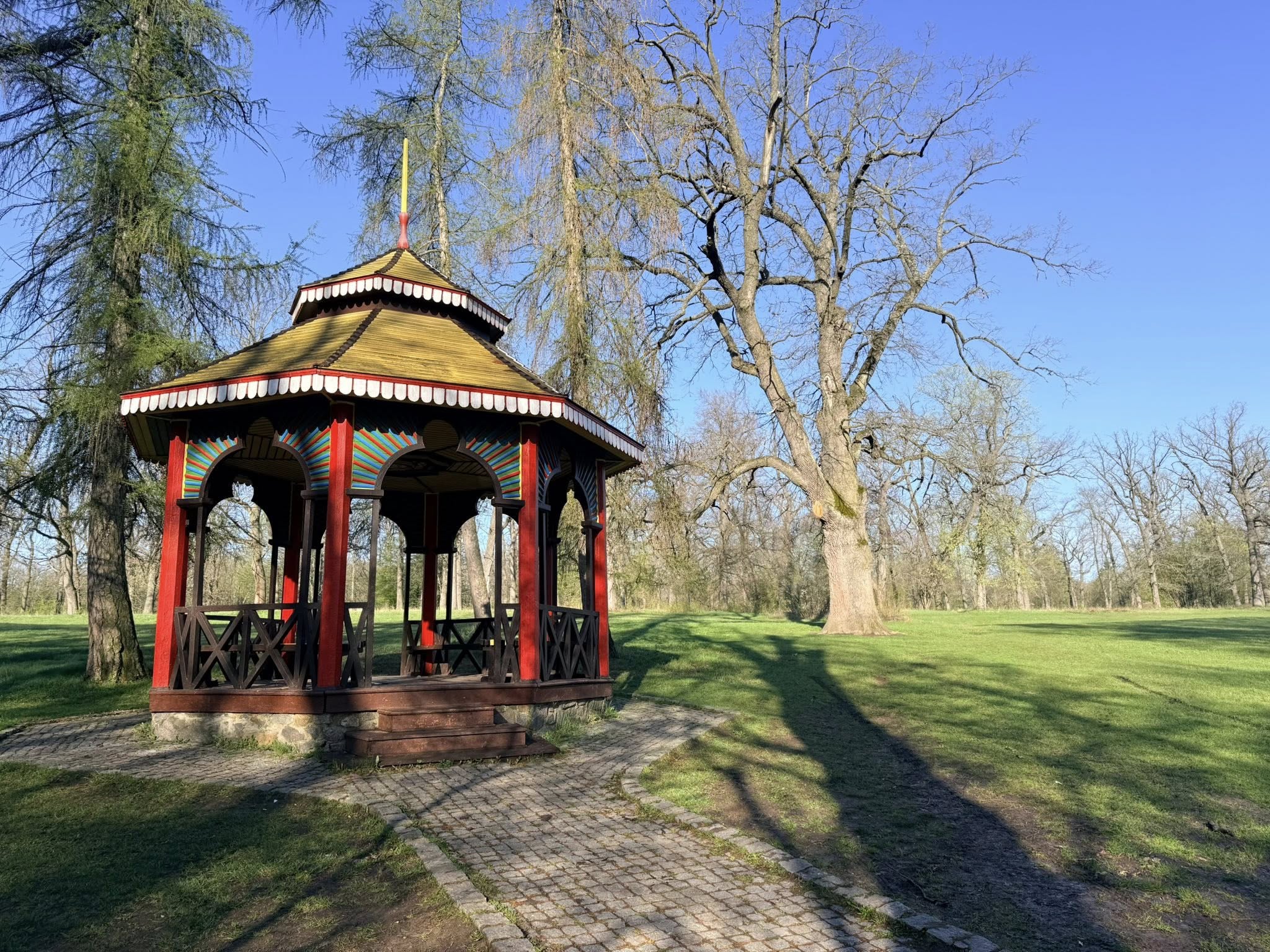 Квітне сад магнолій в уманській «Софіївці». Фото - фото 10