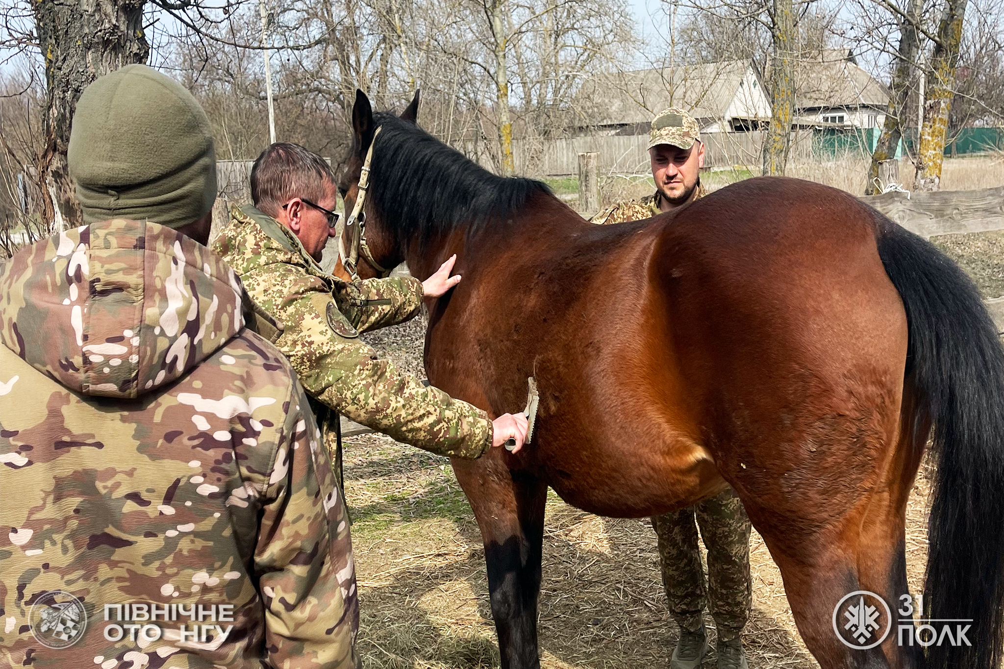 У Черкасах влаштували сеанс іпотерапії для військових Нацгвардії. Фото - фото 2