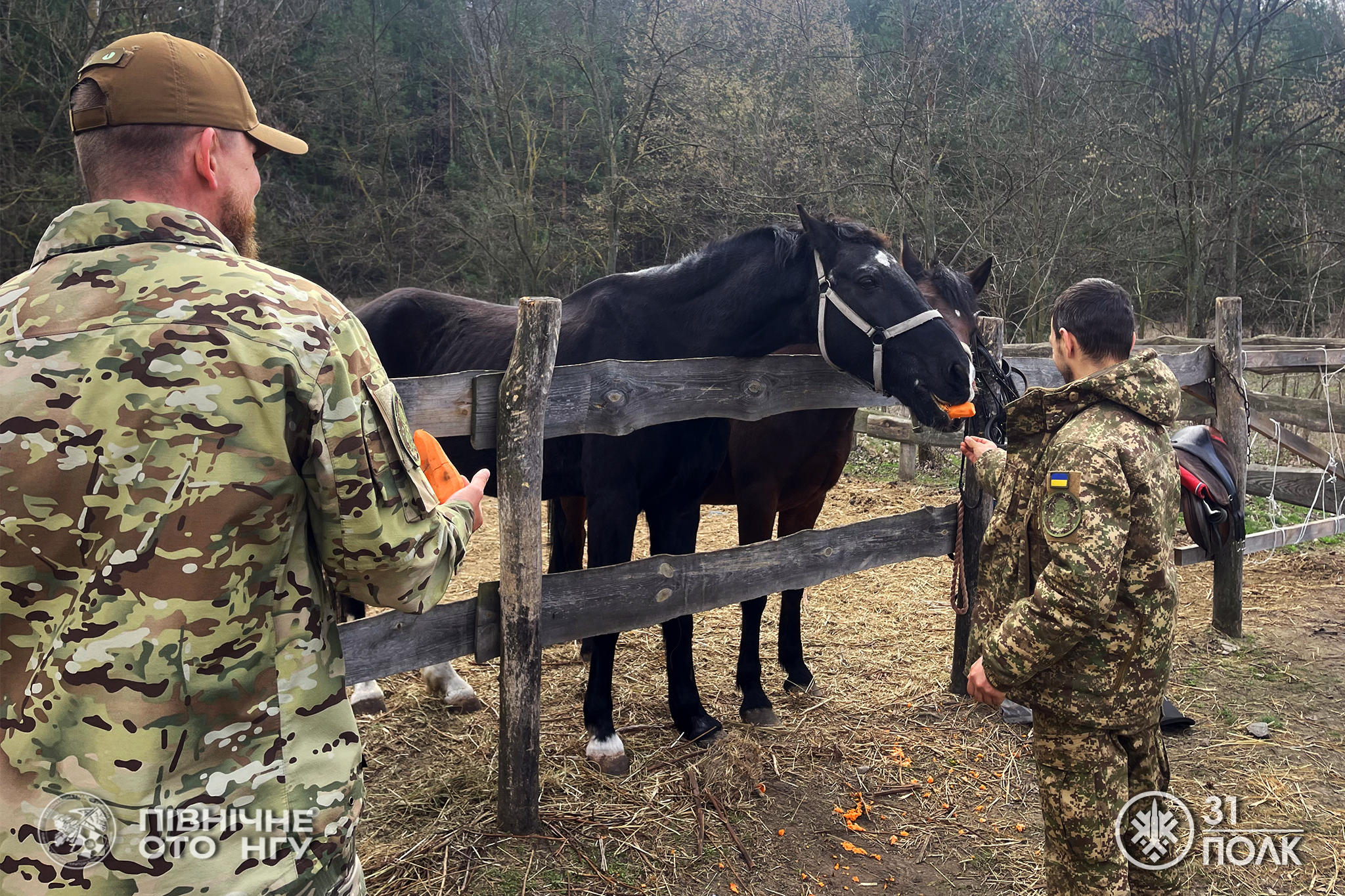 У Черкасах влаштували сеанс іпотерапії для військових Нацгвардії. Фото - фото 4