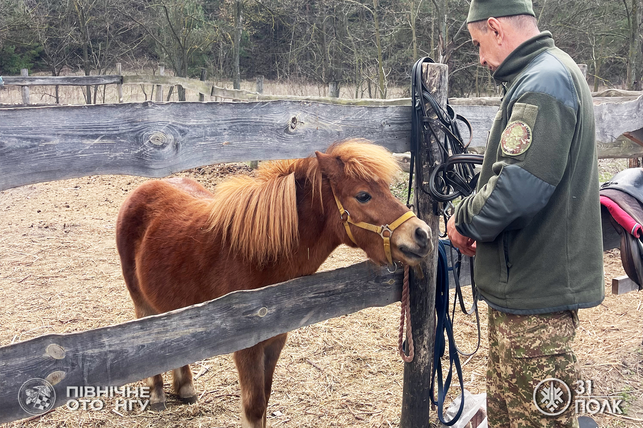 У Черкасах влаштували сеанс іпотерапії для військових Нацгвардії. Фото - фото 5