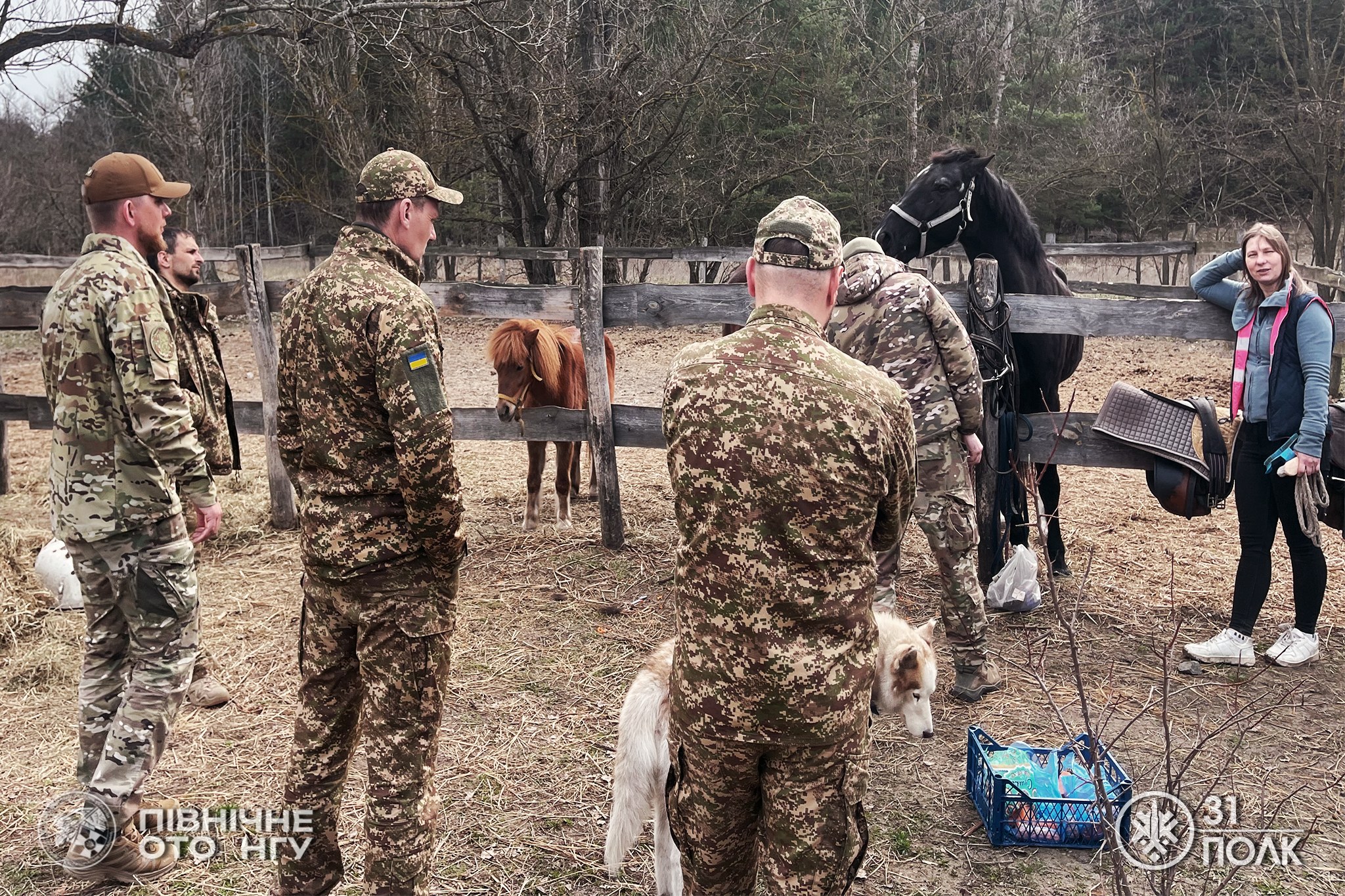 У Черкасах влаштували сеанс іпотерапії для військових Нацгвардії. Фото - фото 7