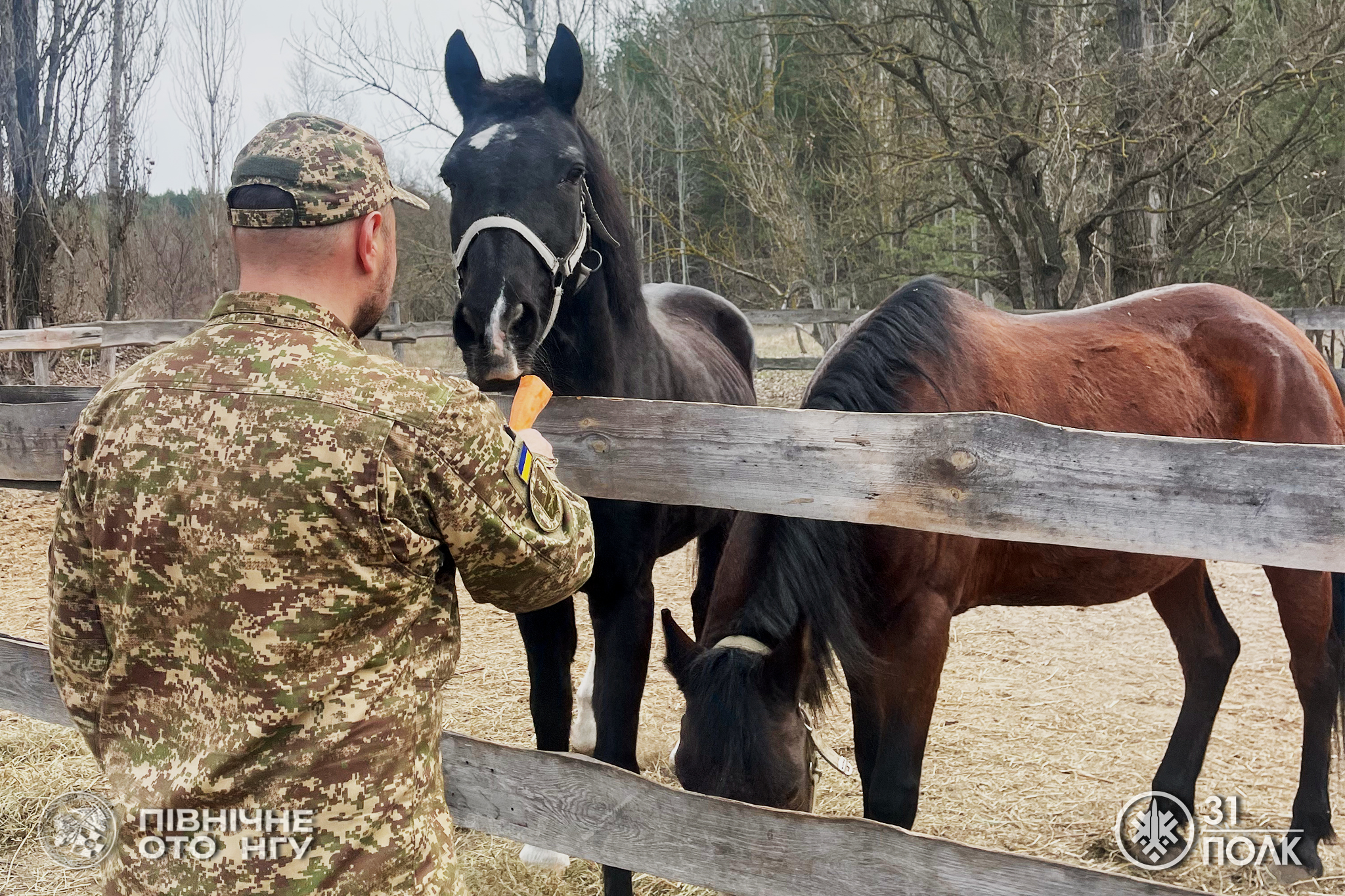 У Черкасах влаштували сеанс іпотерапії для військових Нацгвардії. Фото - фото 8