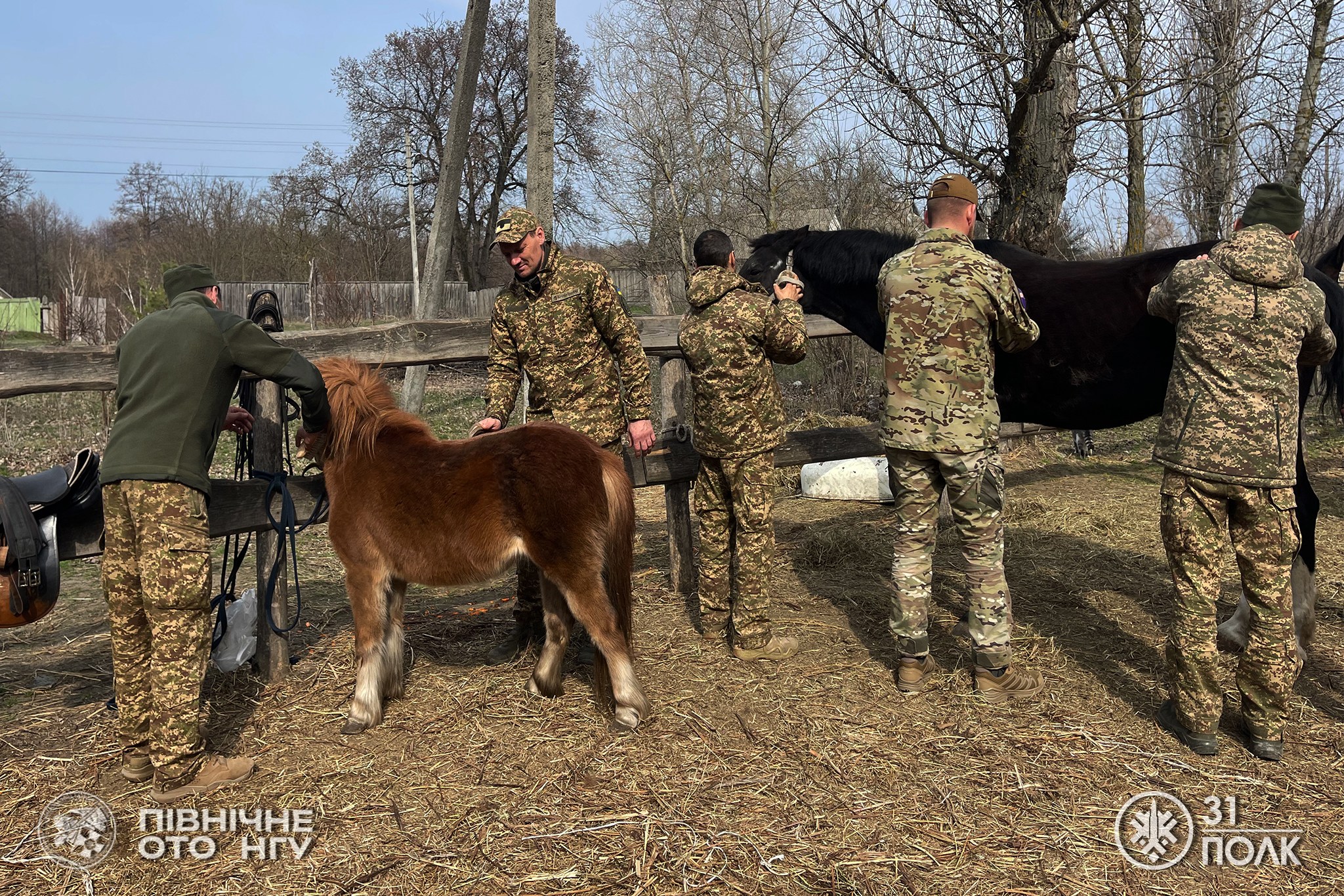 У Черкасах влаштували сеанс іпотерапії для військових Нацгвардії. Фото - фото 9