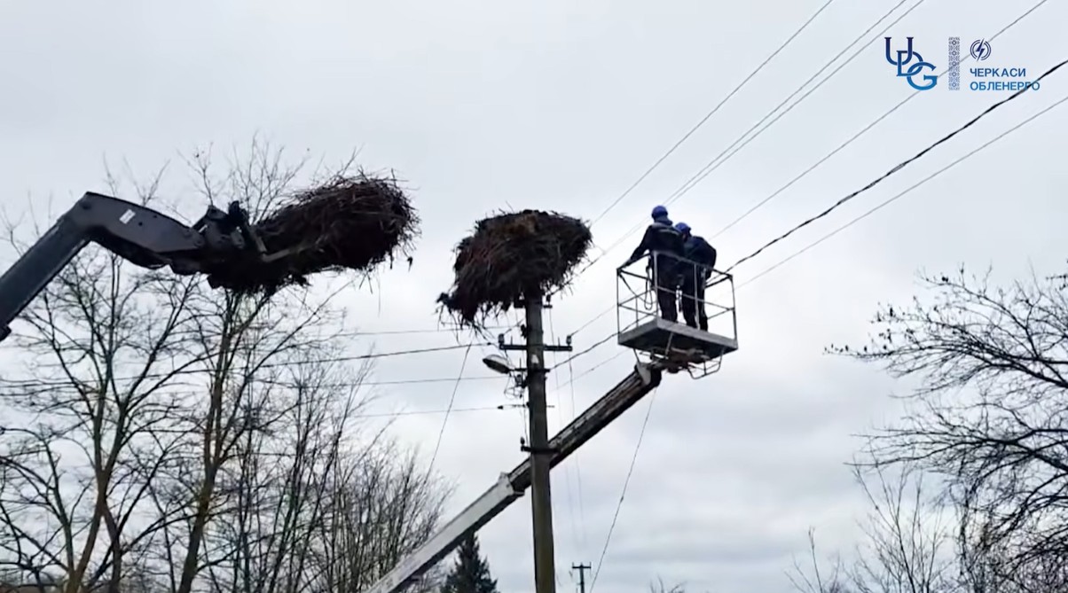 На Черкащині для лелек поставили 30 металевих гнізд