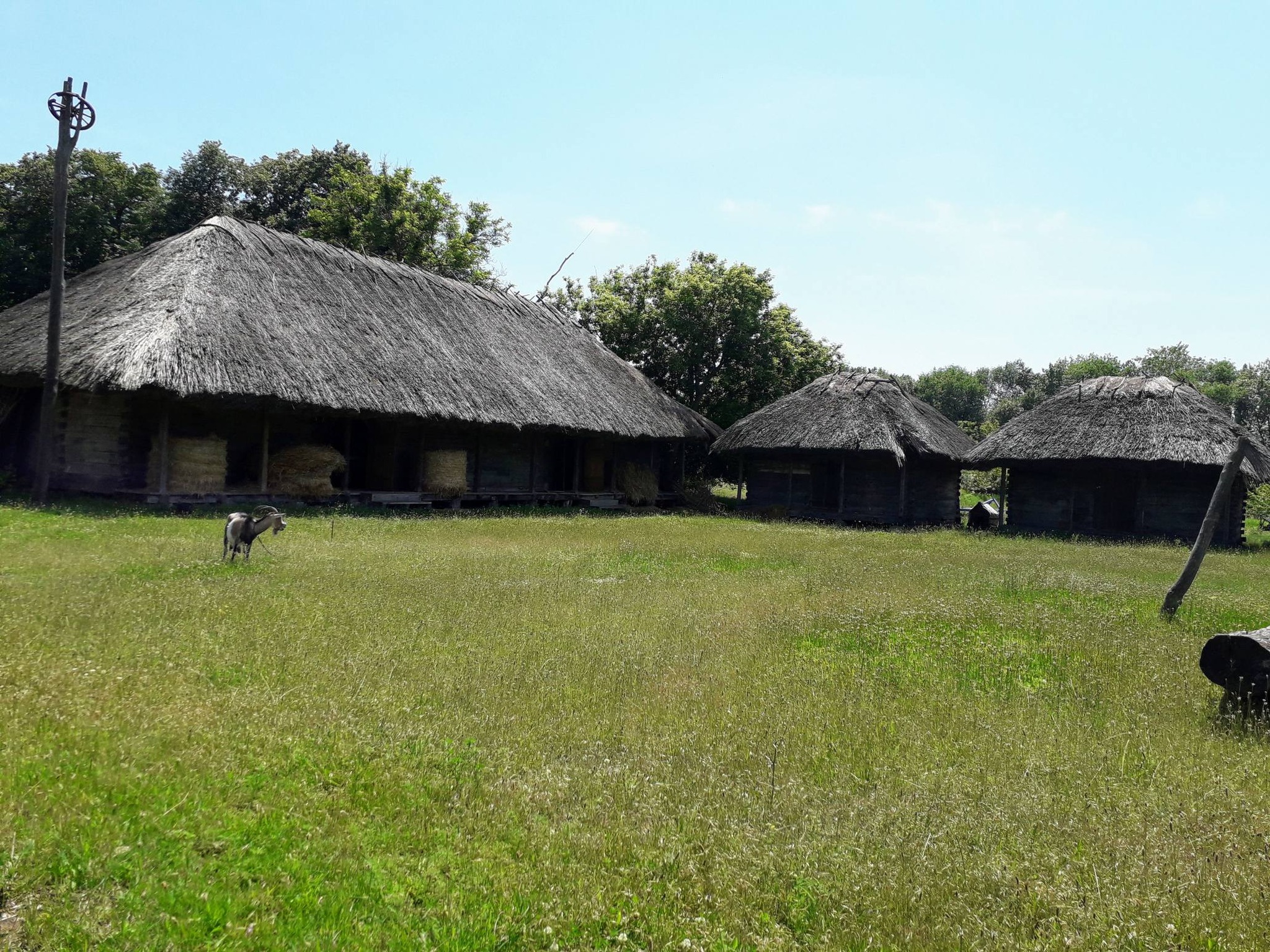 Вітряки, козацькі хати і ферма – фото з унікального музею на Черкащині - фото 14