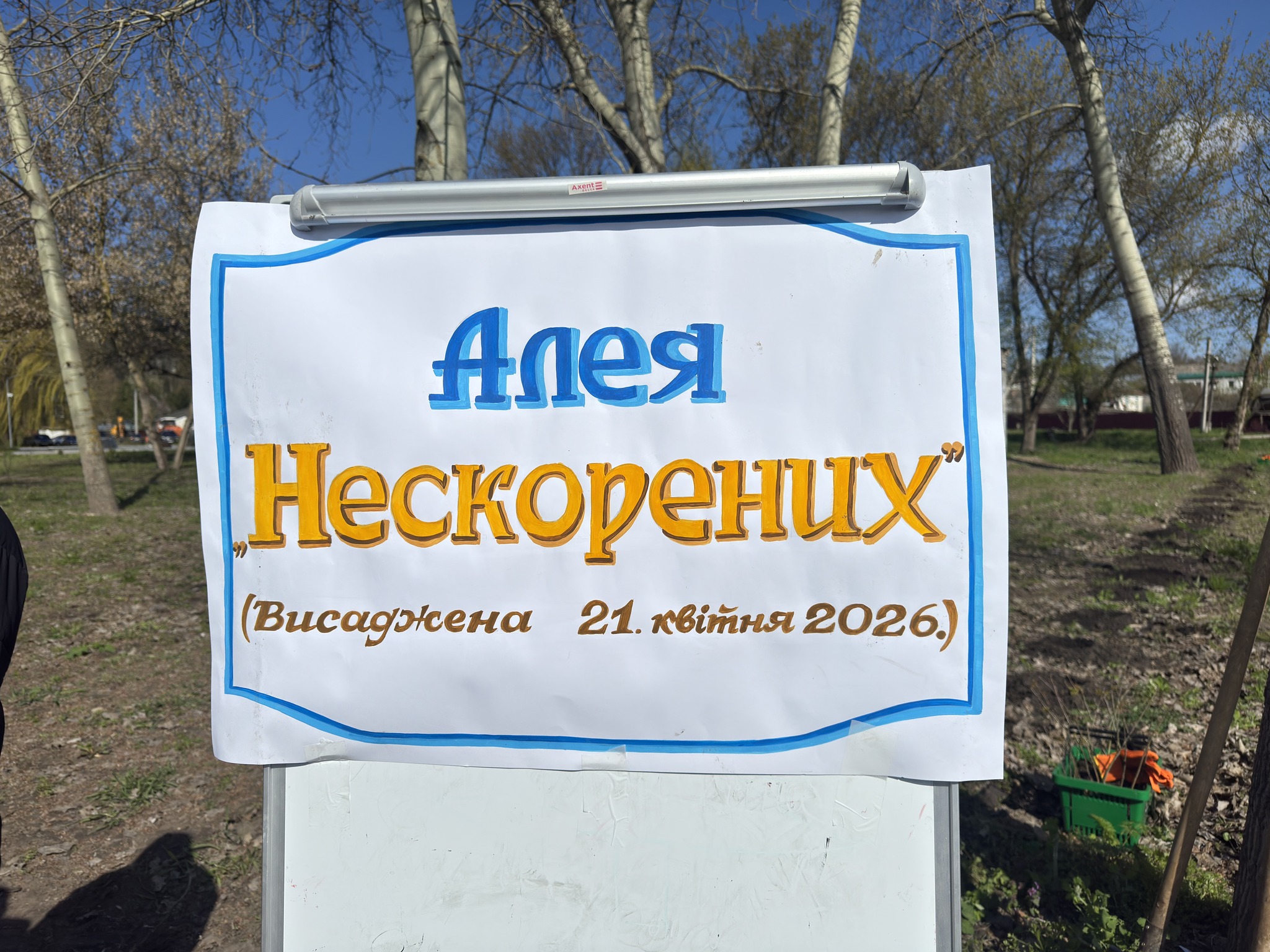 У Кам’янці посадили 300 дубів - фото 4