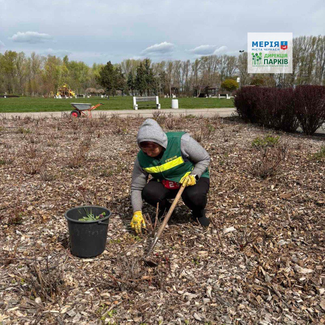 Почистили озеро з Русалонькою у Сосновому бору. Фото - фото 2