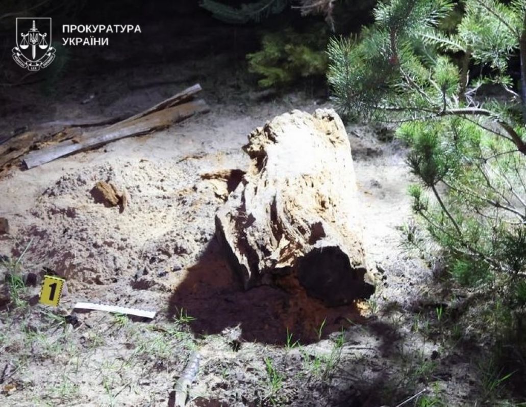 На Полтавщині батько жорстоко вбив 3-річного сина і спалив у лісі – через ревнощі - фото 2